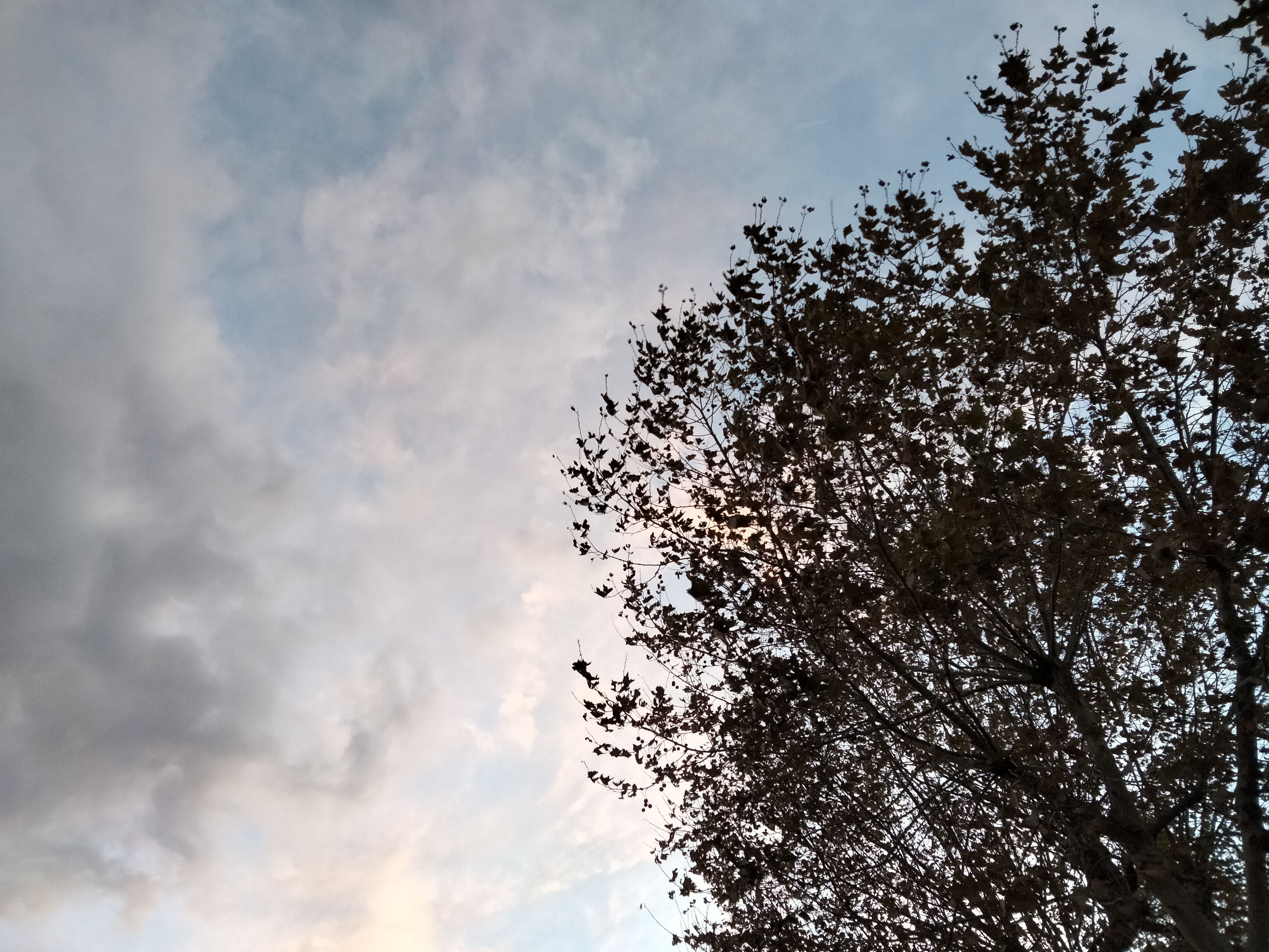 IMG20221023192248.jpg