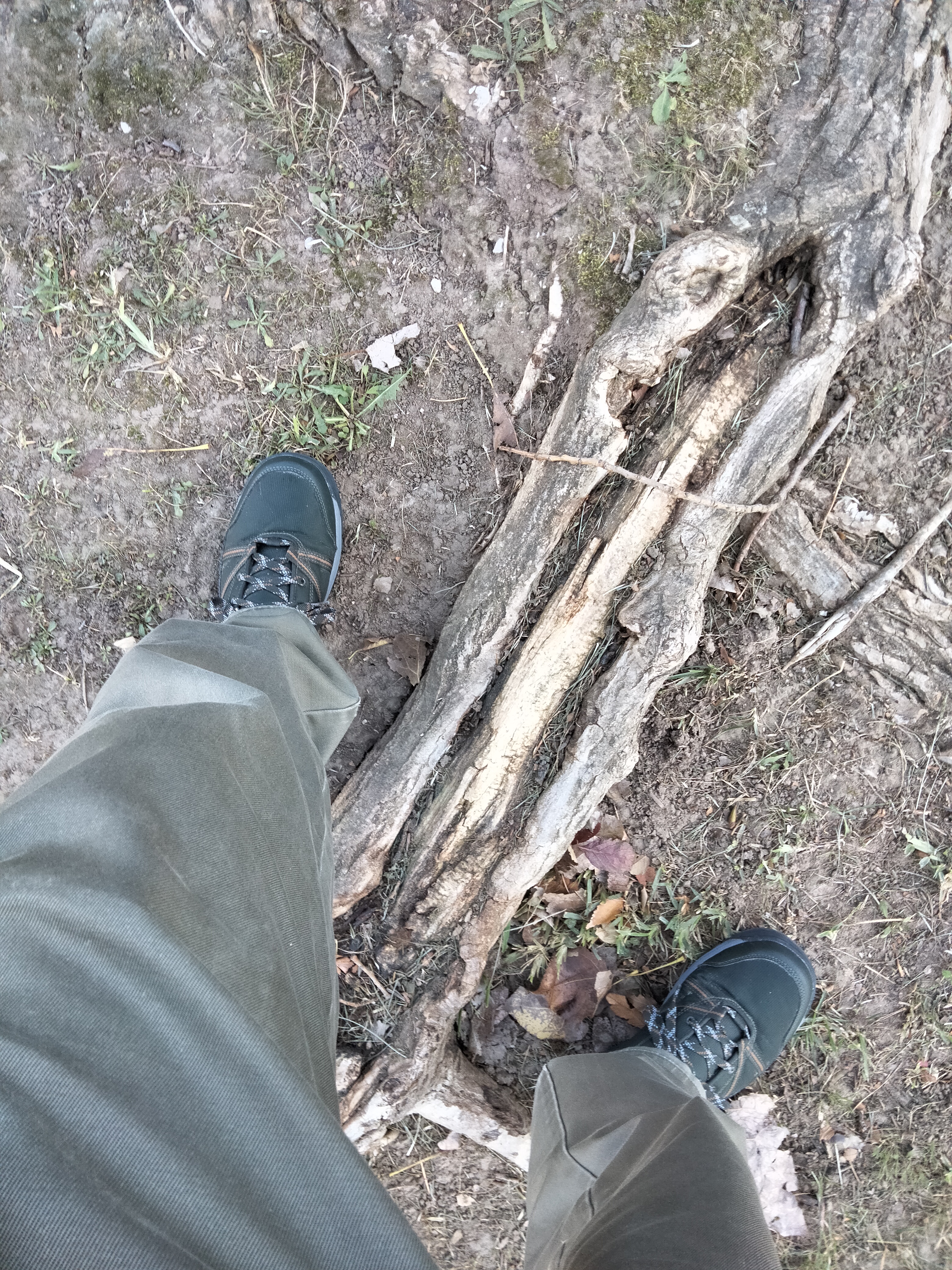 IMG20221101124337.jpg
