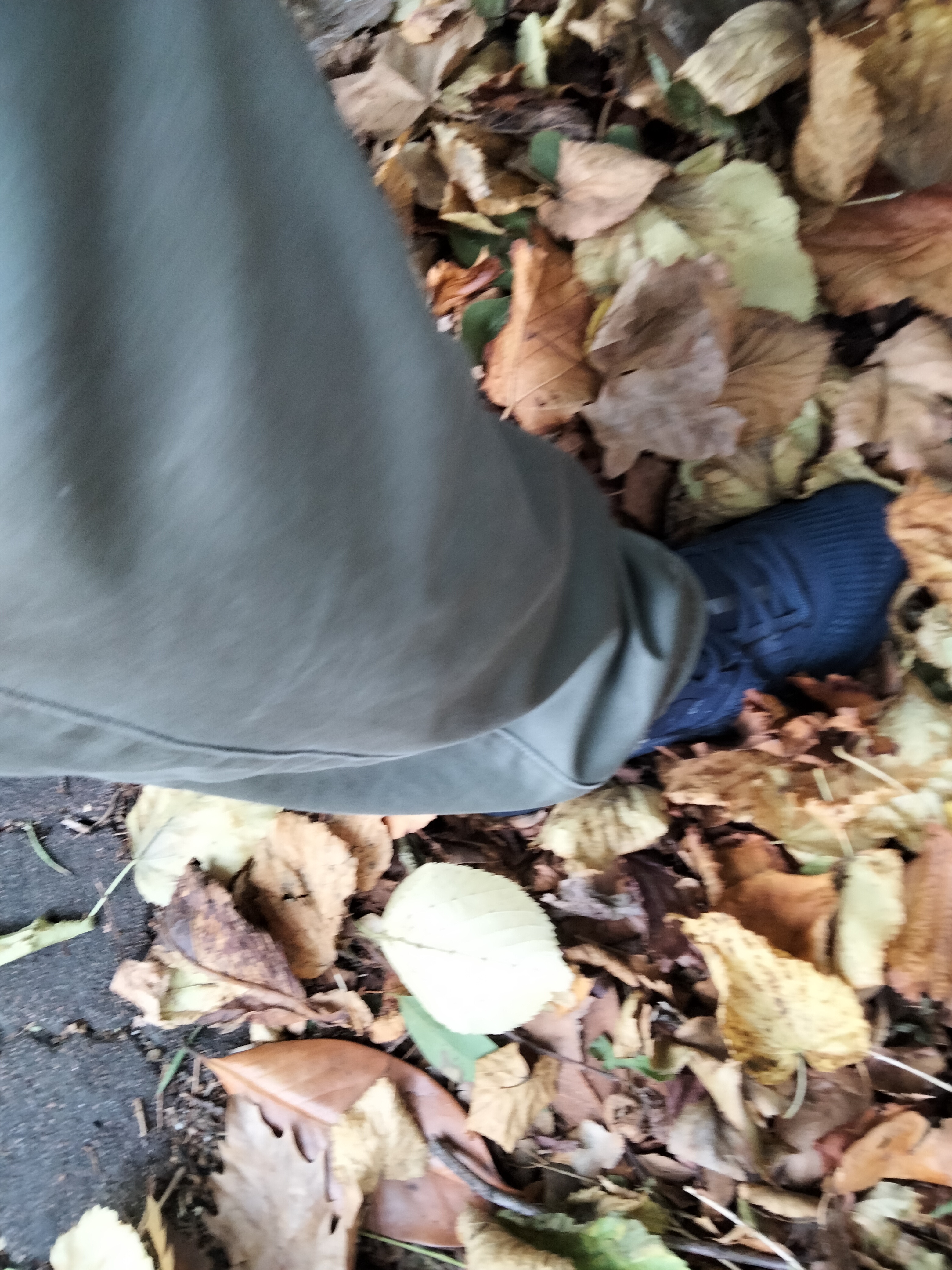 IMG20221108083415.jpg