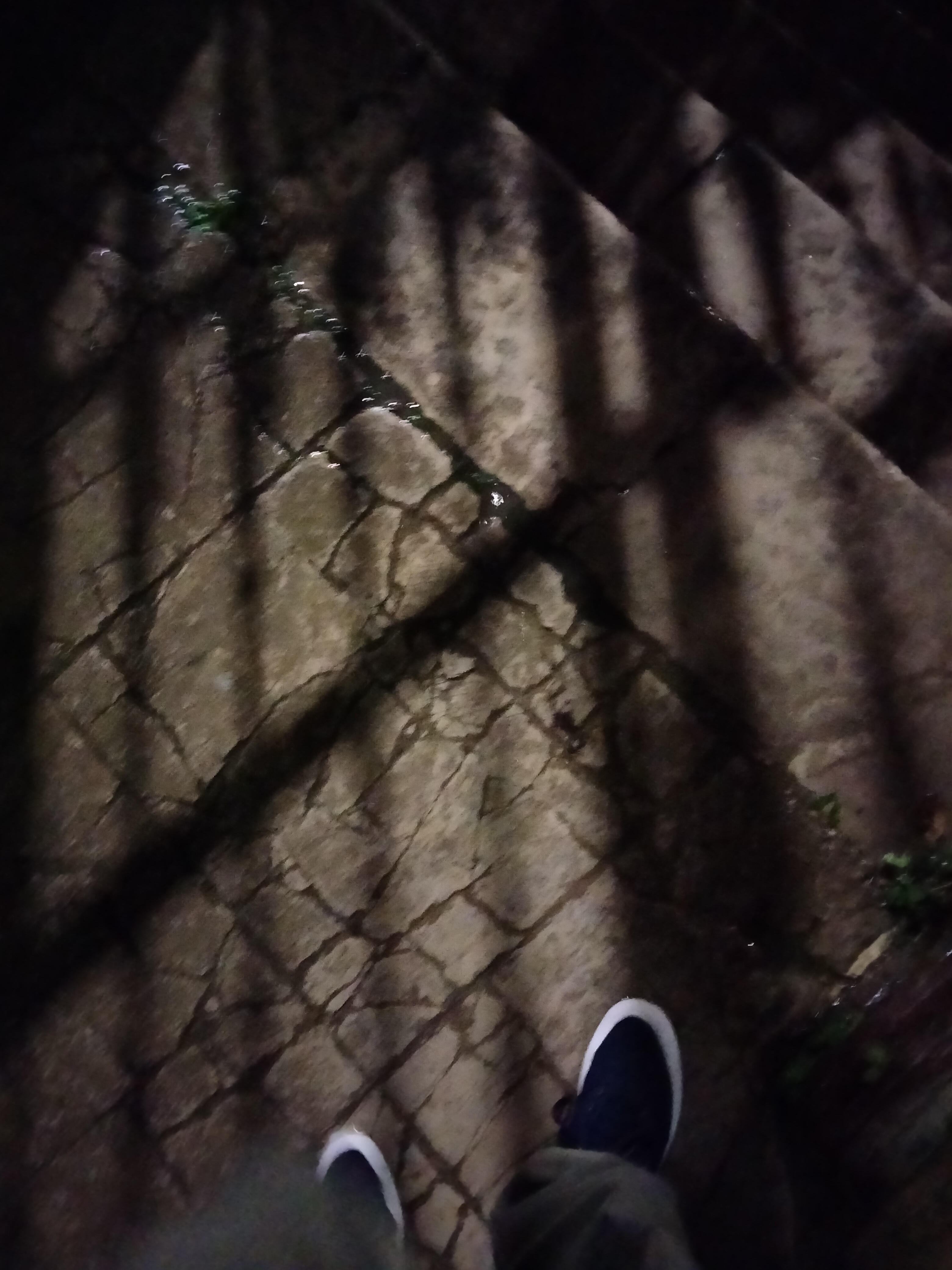 IMG20221118192244.jpg