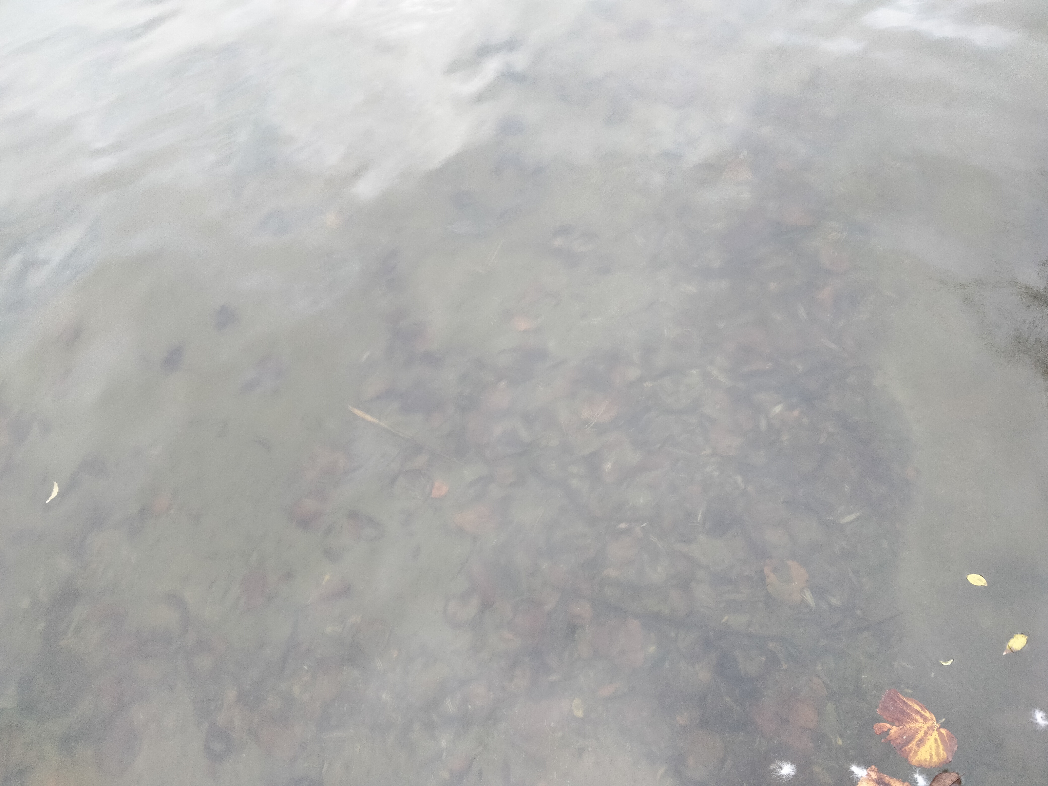 IMG20221120124614.jpg