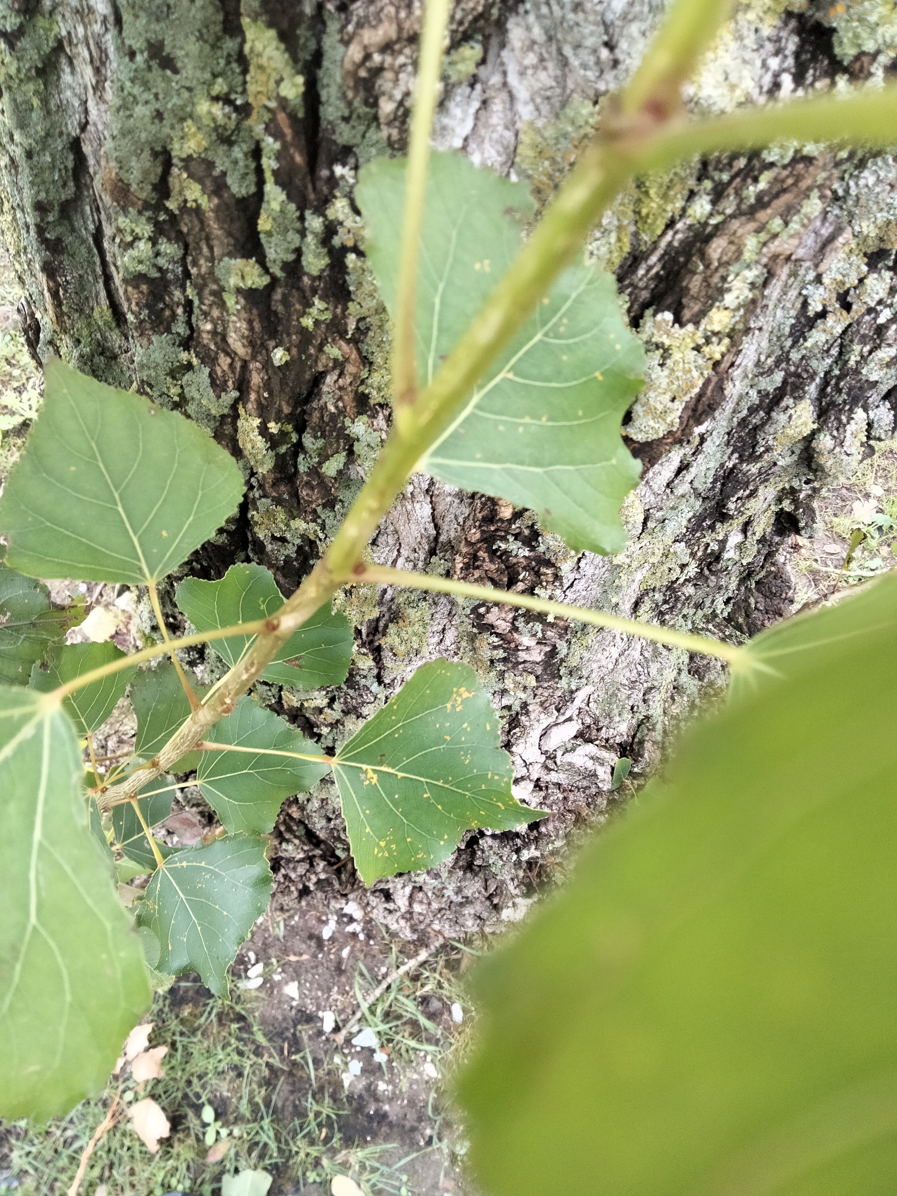 IMG20221120140612.jpg