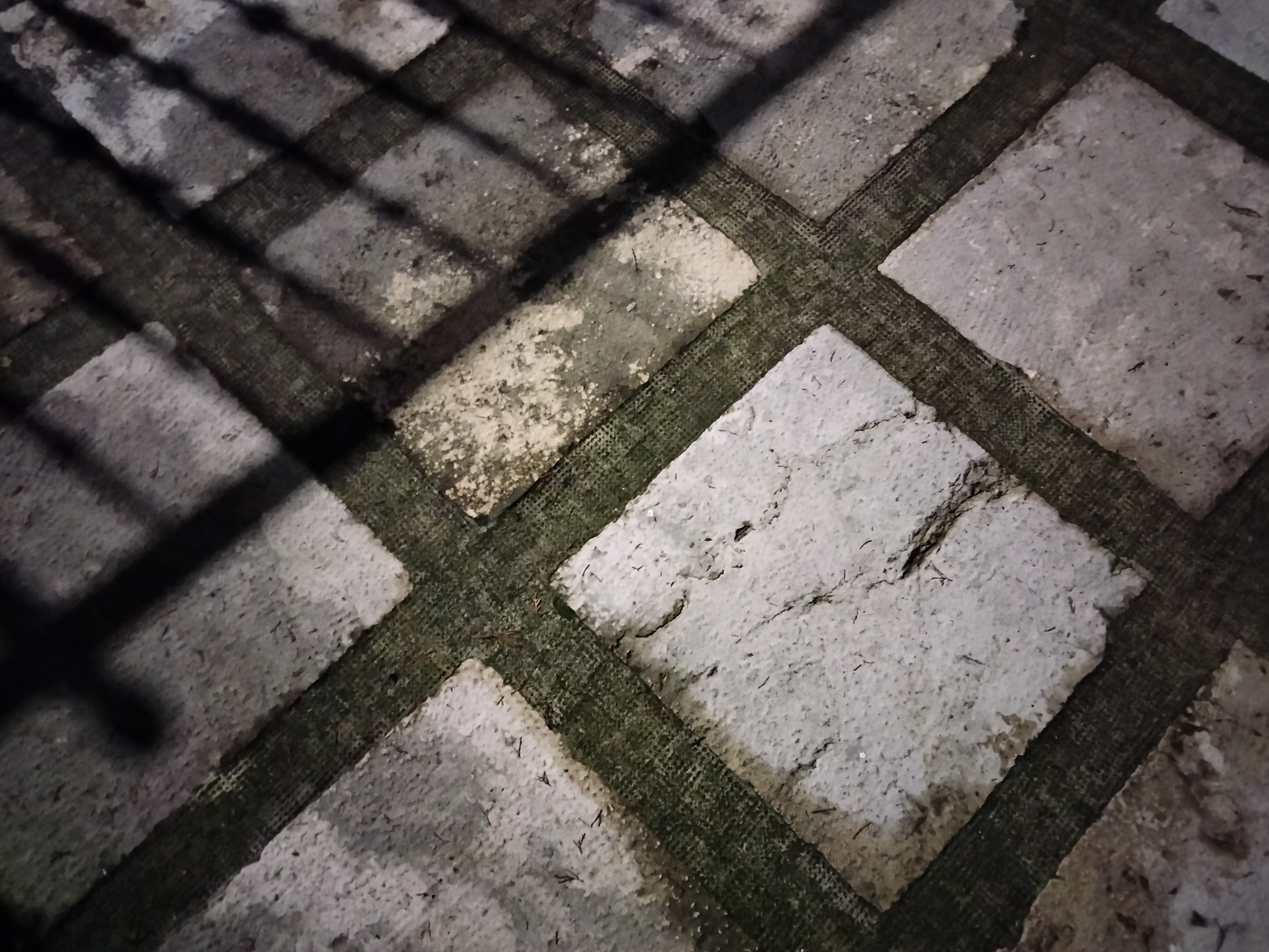 IMG20221129182414.jpg