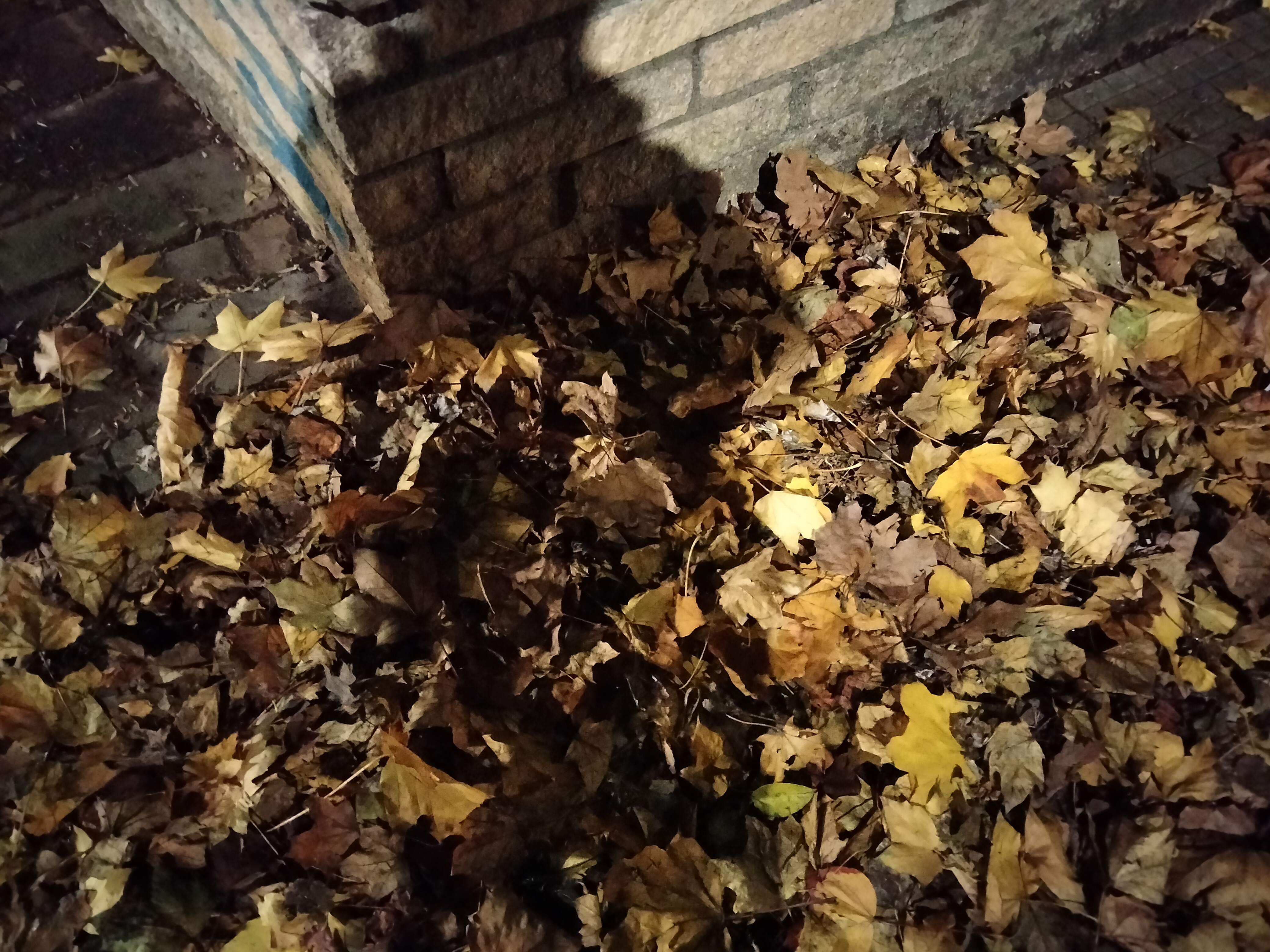 IMG20221202212225.jpg