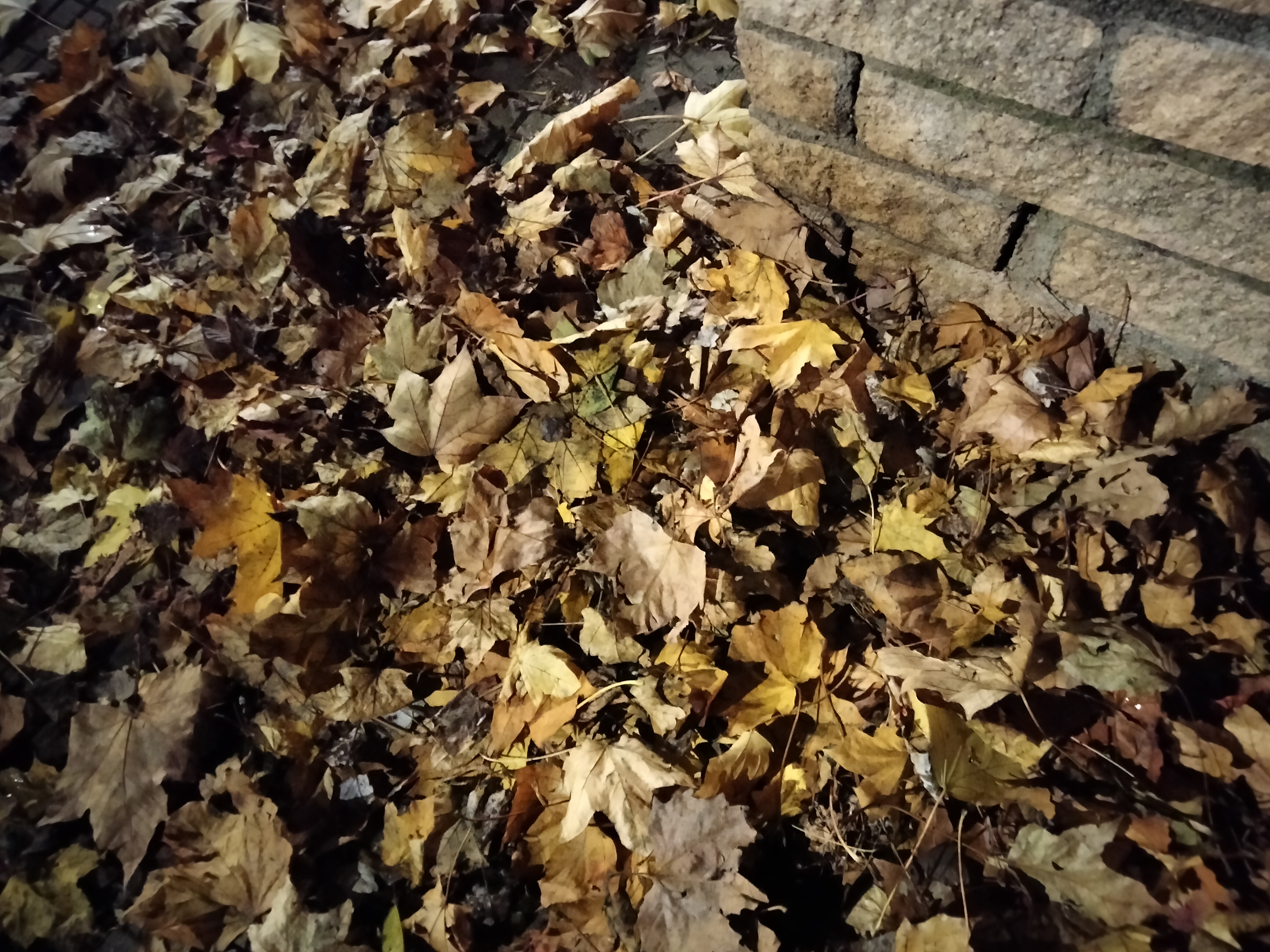 IMG20221202212239.jpg