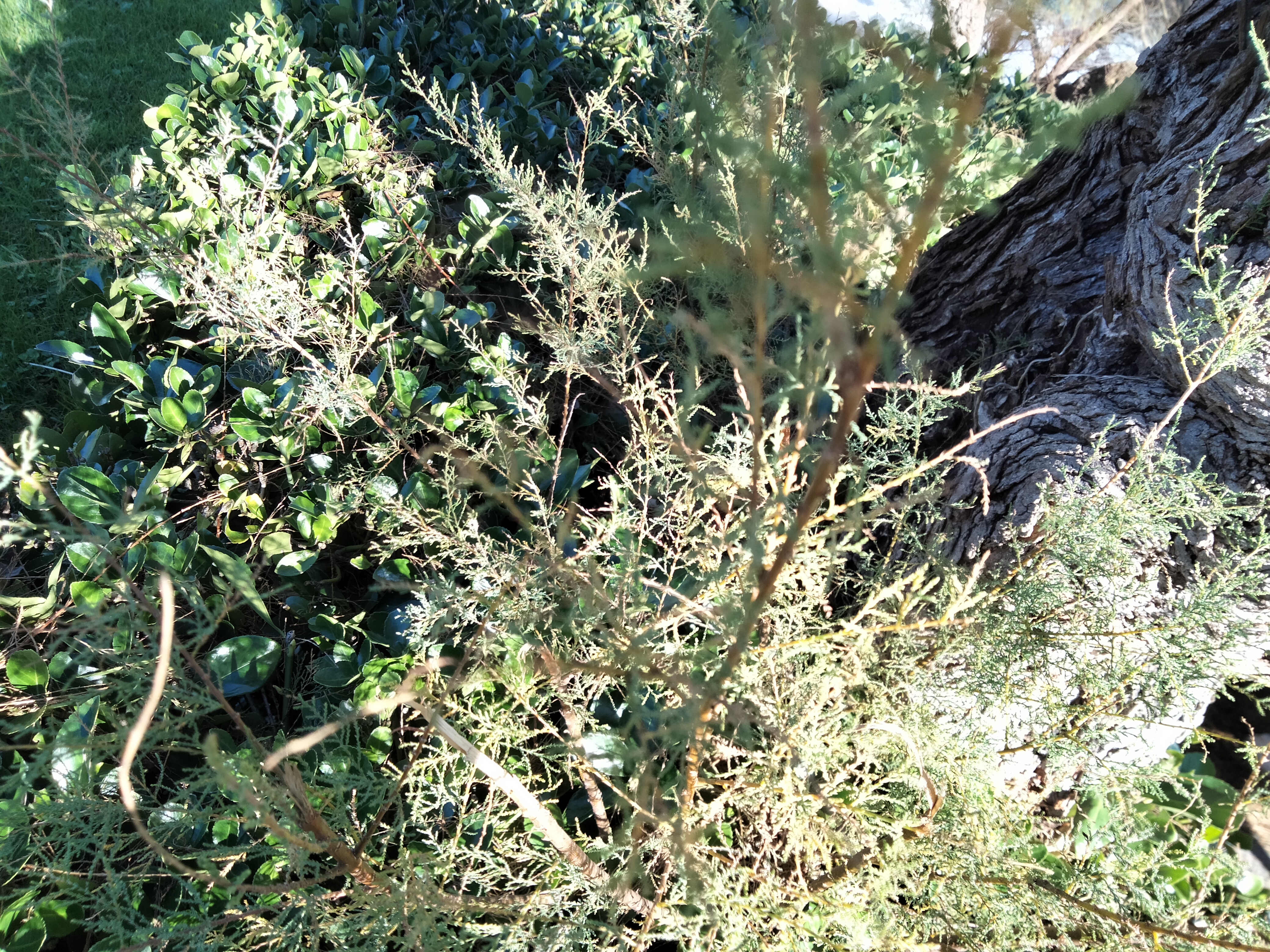 IMG20221204133552.jpg