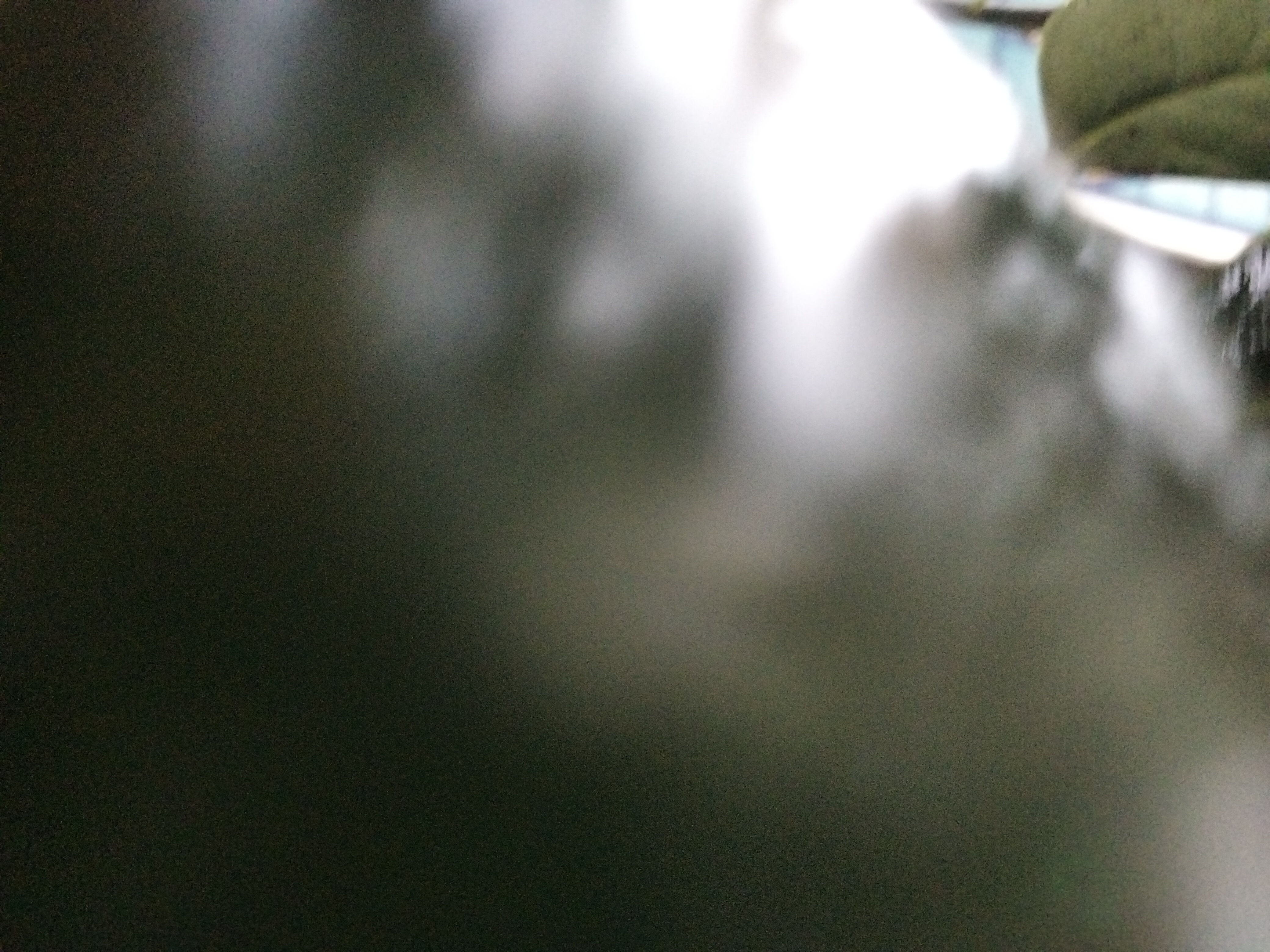 IMG20221209152146.jpg