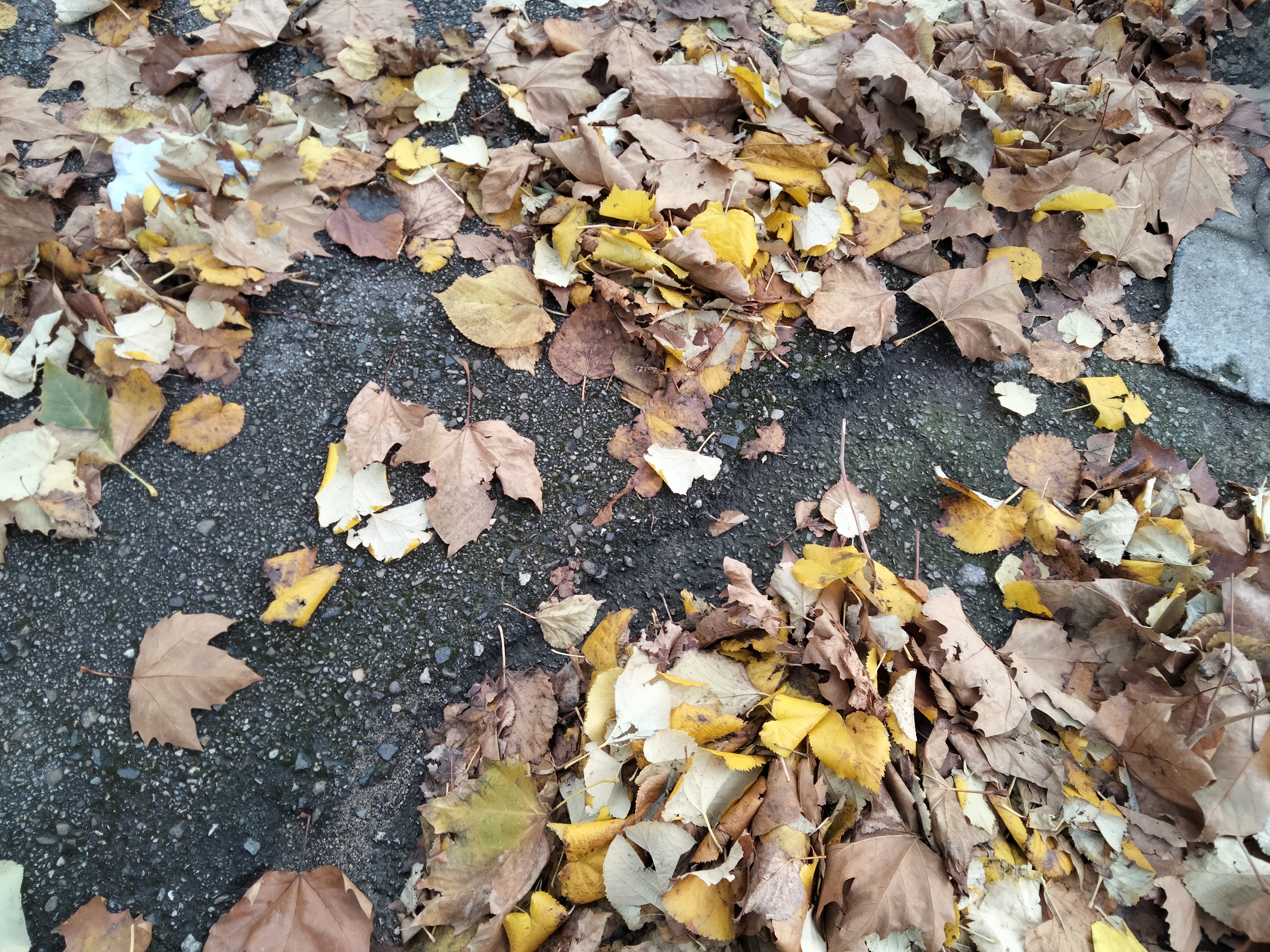 IMG20221210115501.jpg