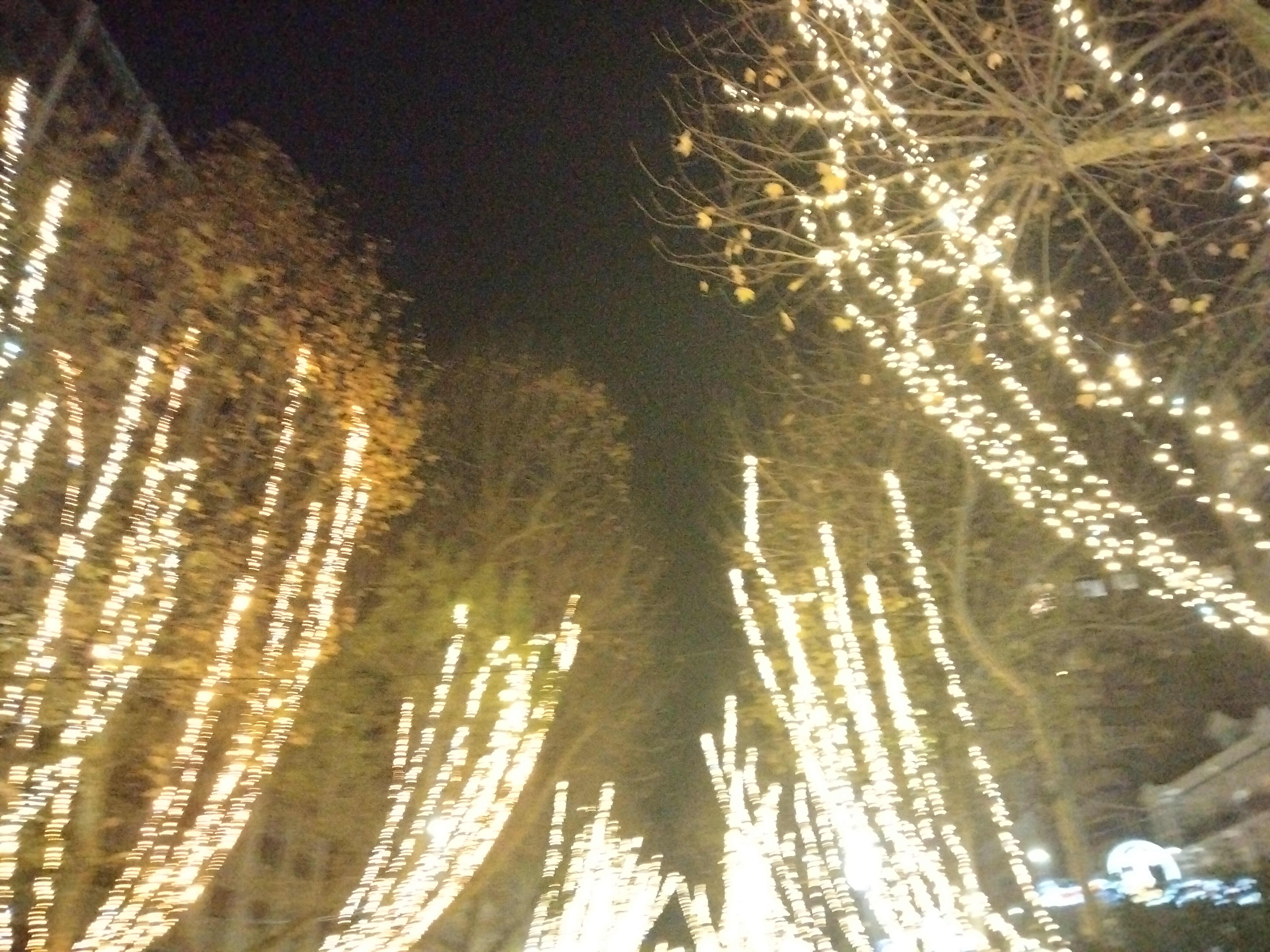 IMG20221217203155.jpg