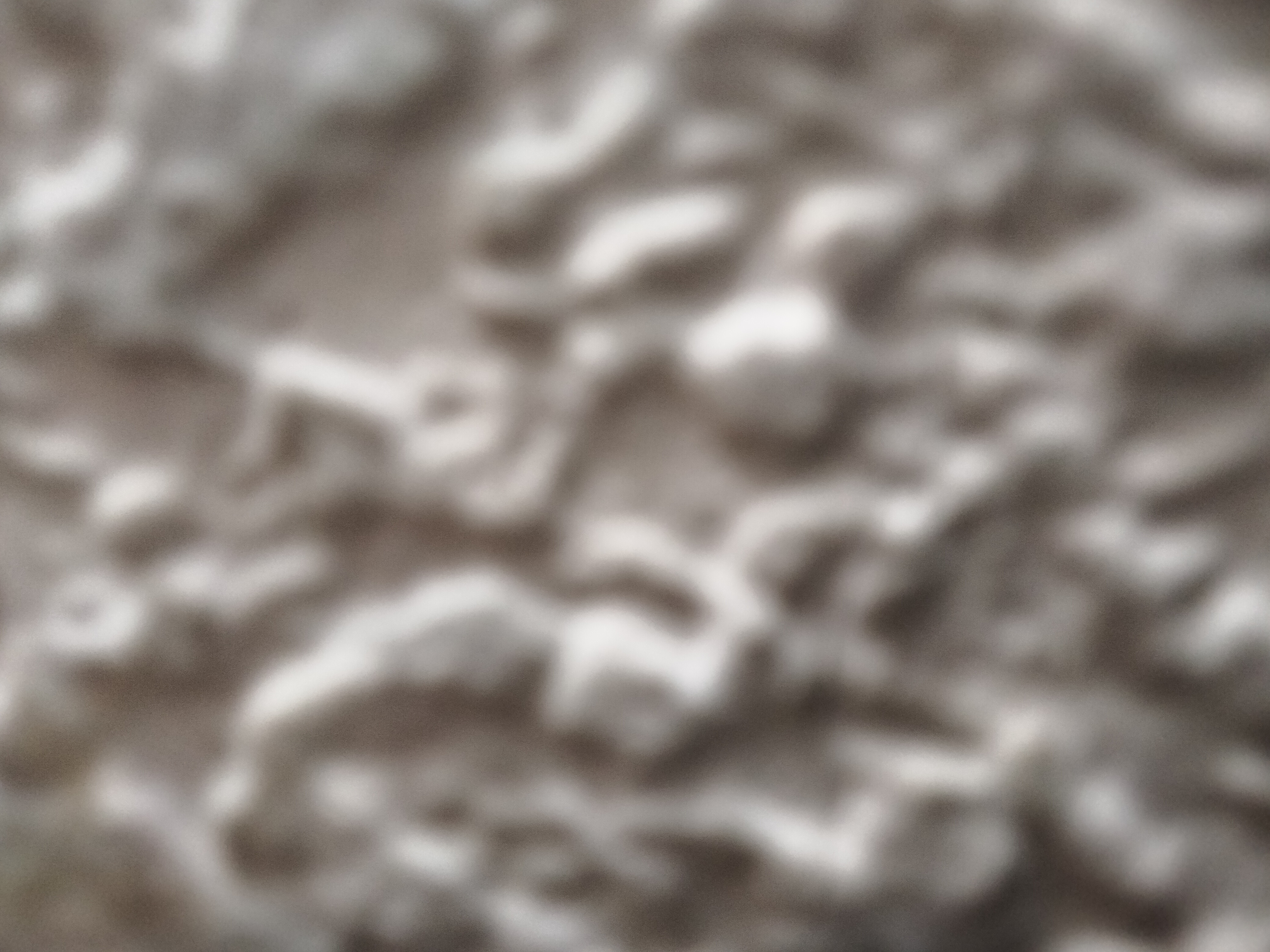 IMG20221230214446.jpg