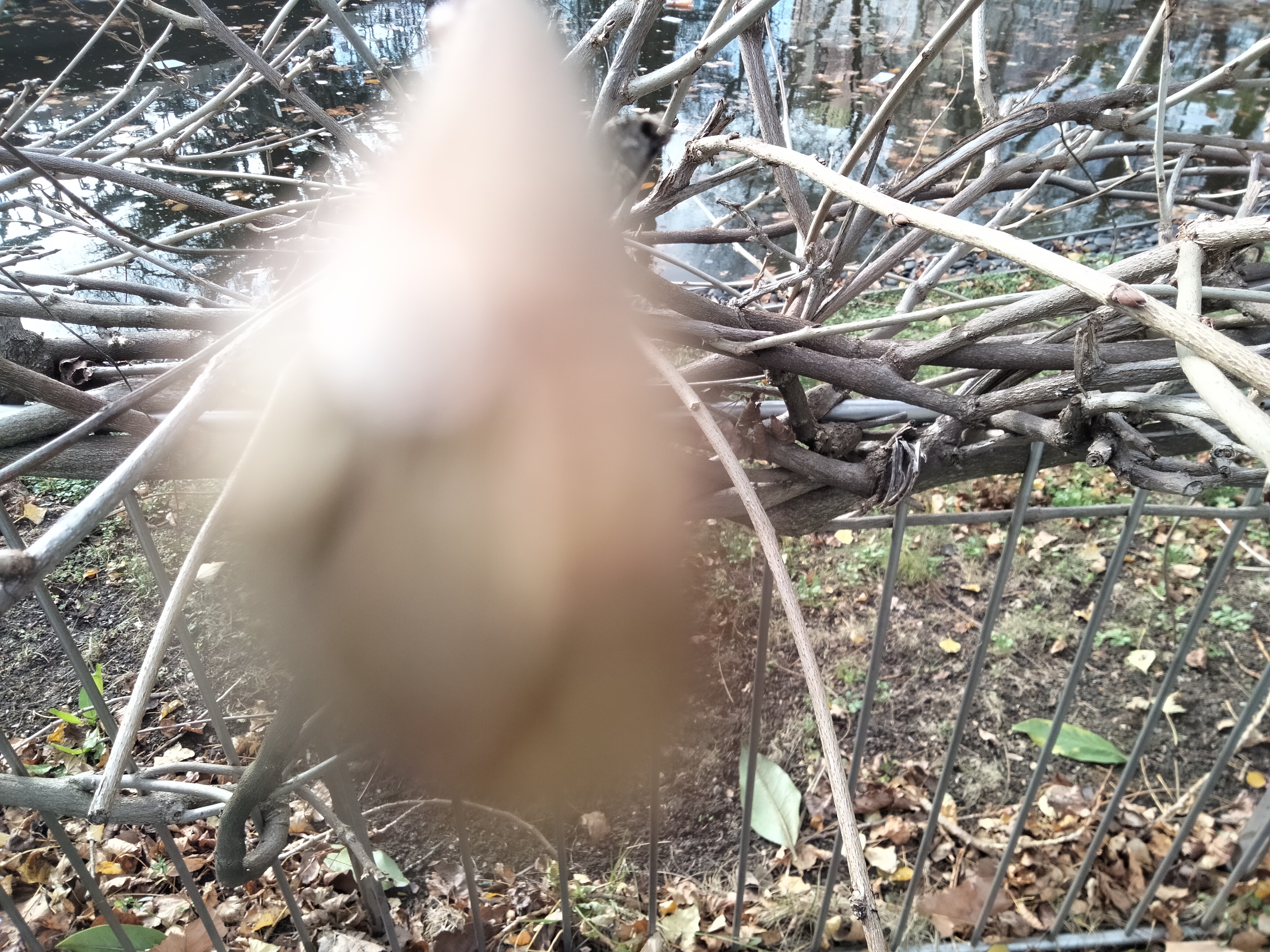 IMG20230101115024.jpg