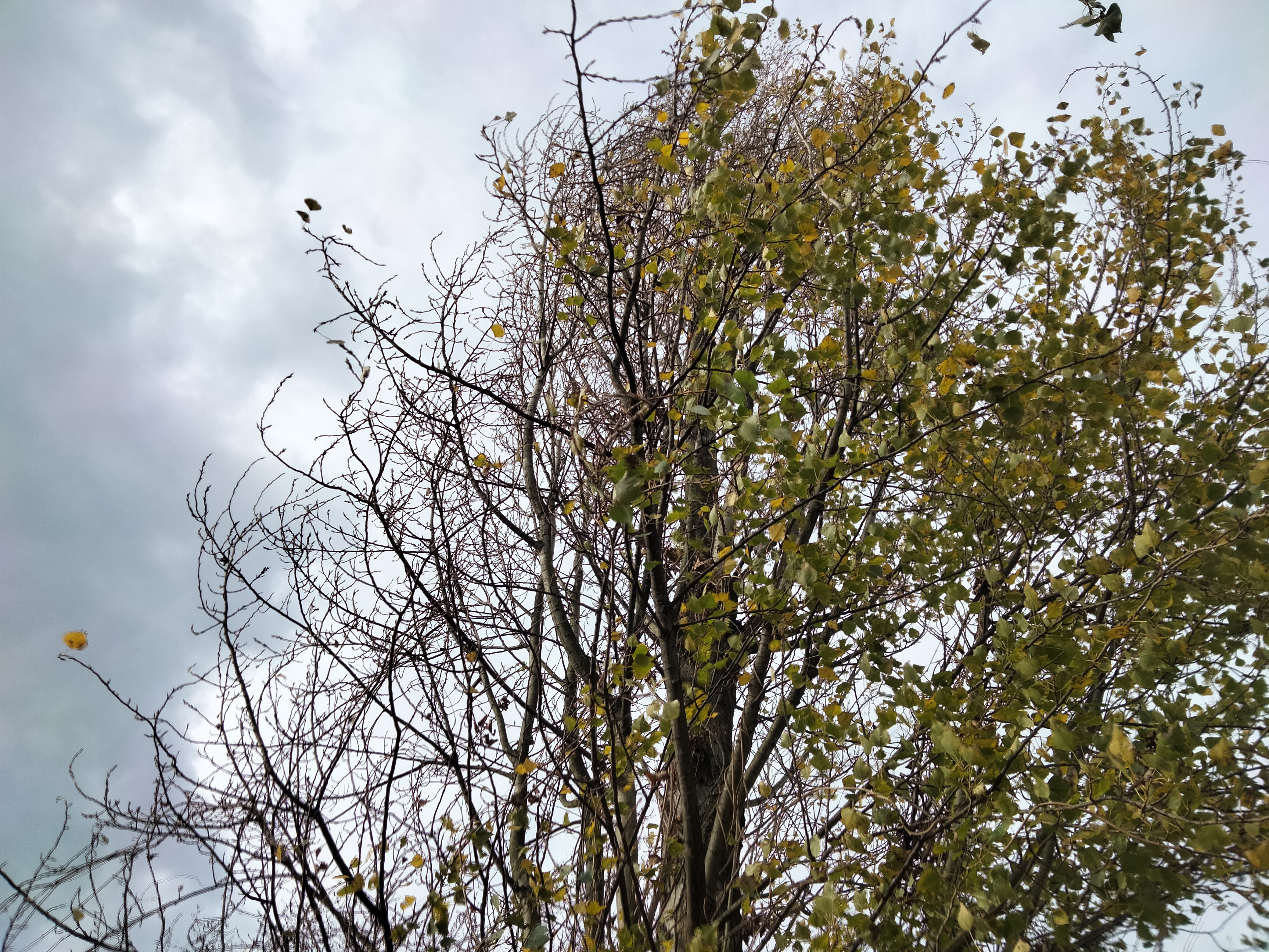 IMG20230101115043.jpg