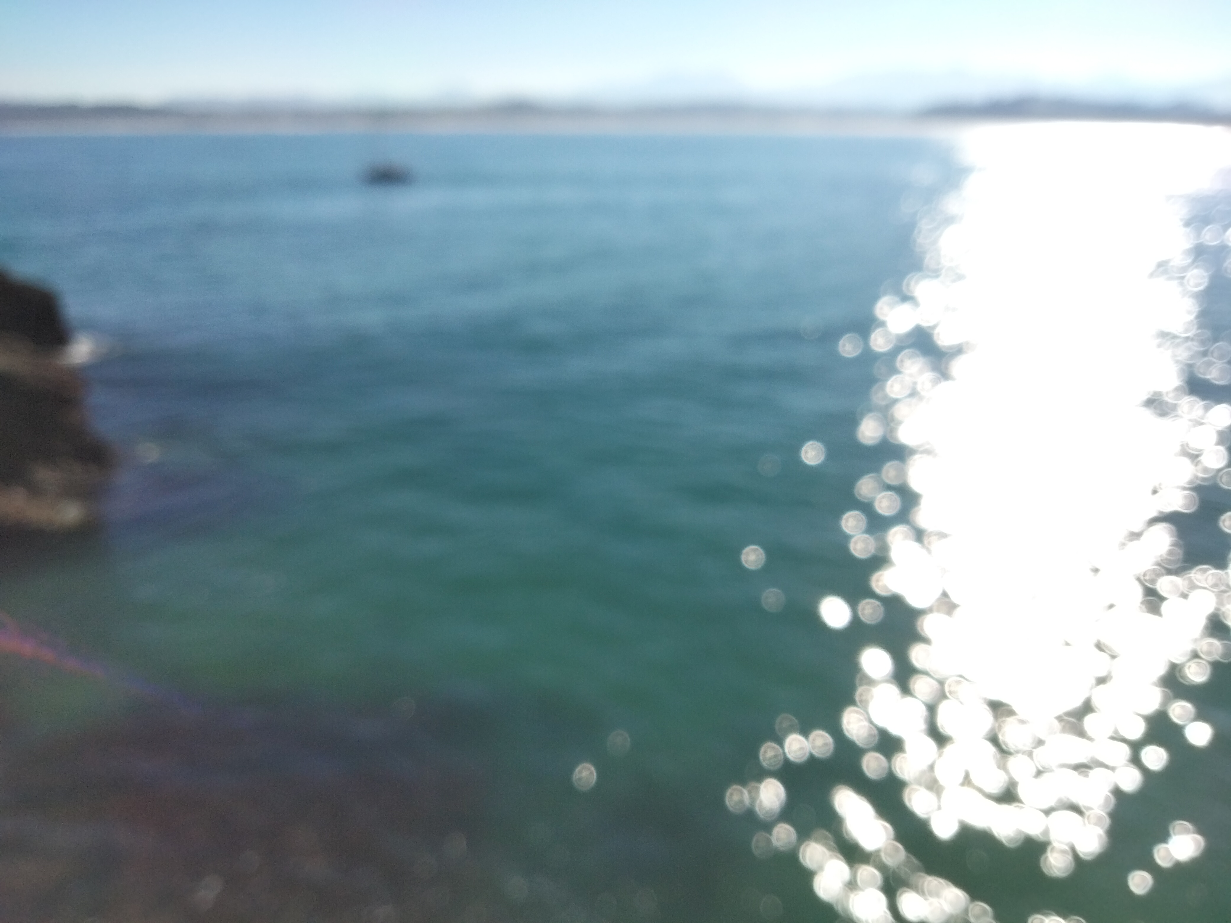 IMG20230106123546.jpg
