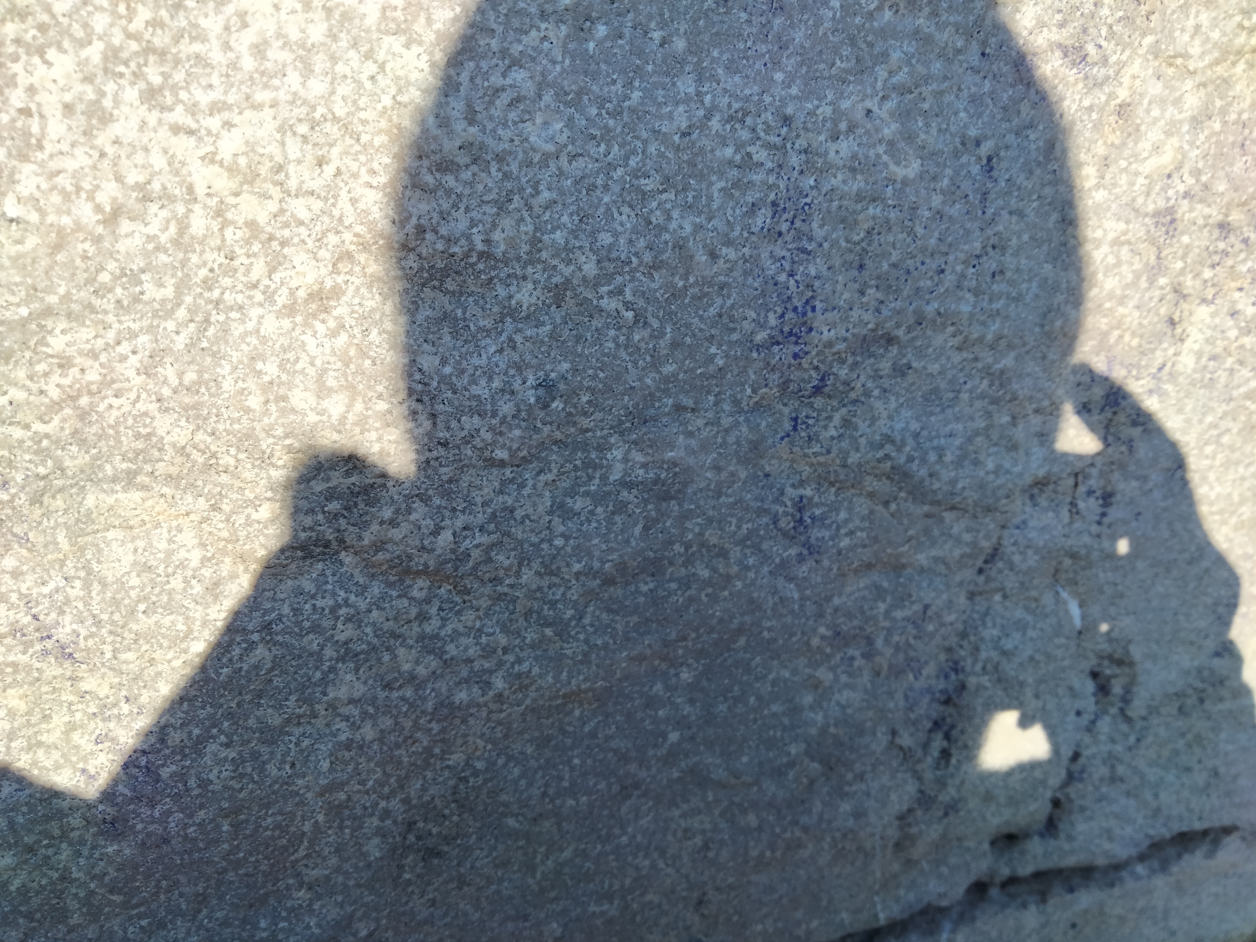 IMG20230106123605.jpg