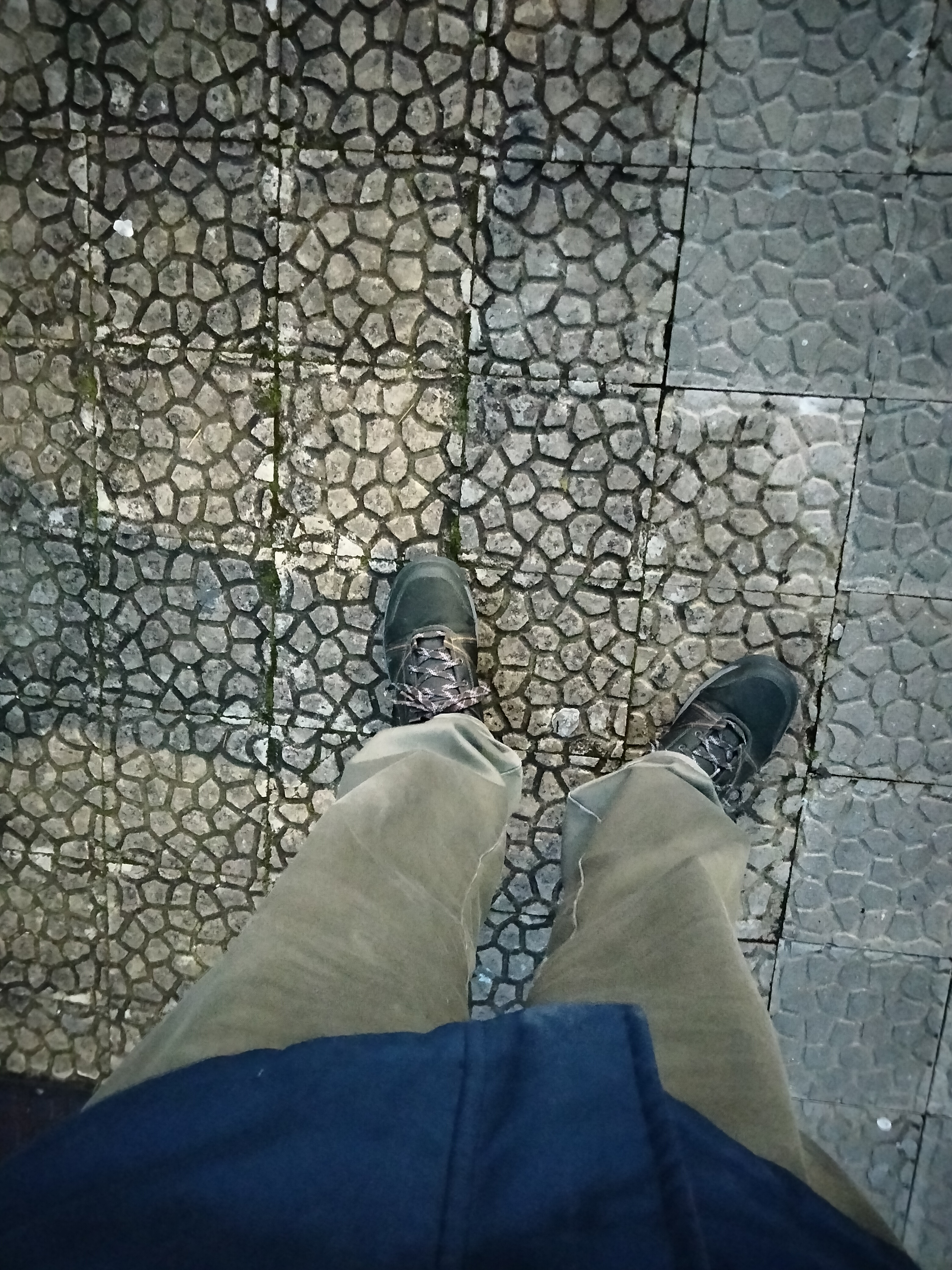 IMG20230106181152.jpg