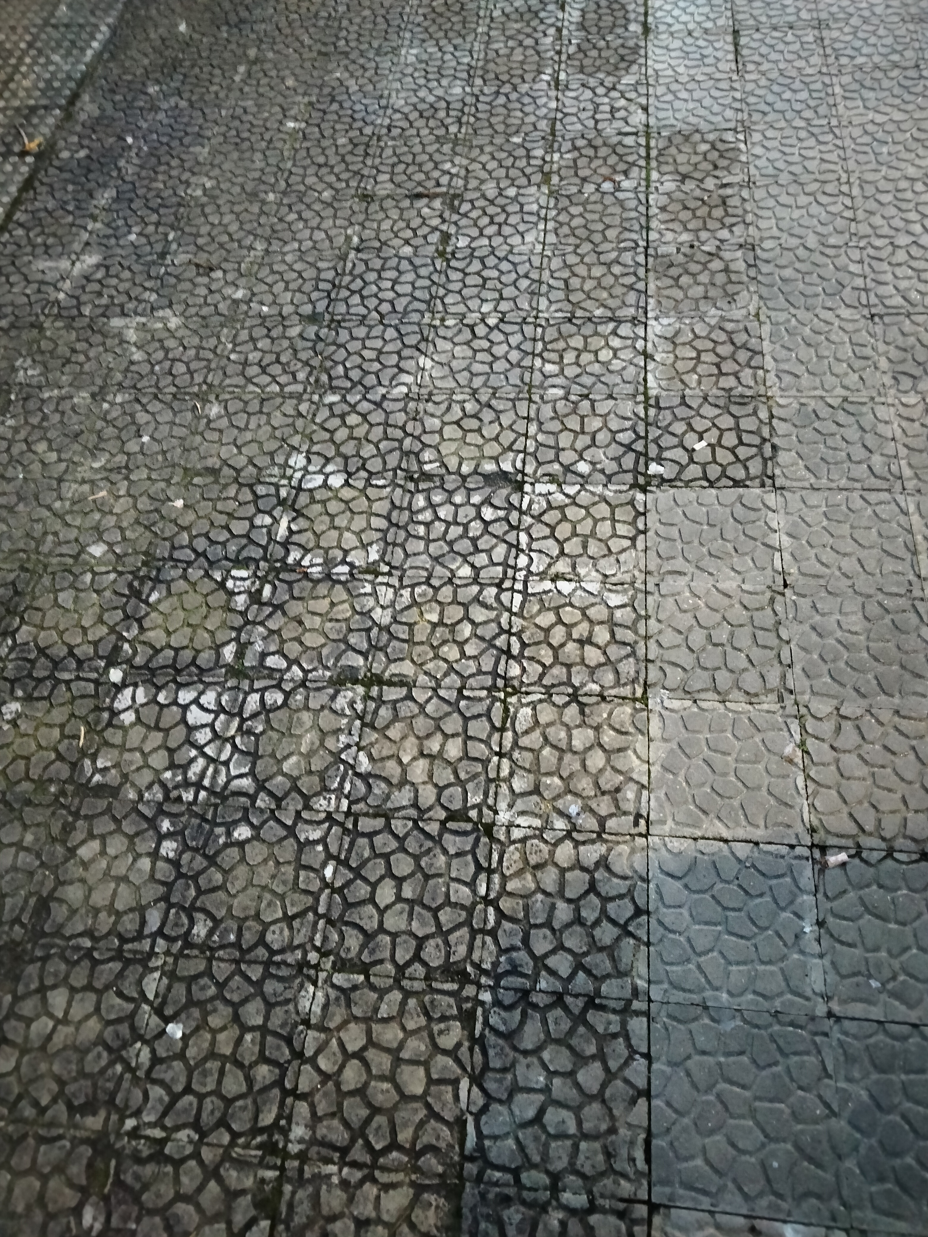 IMG20230106181156.jpg