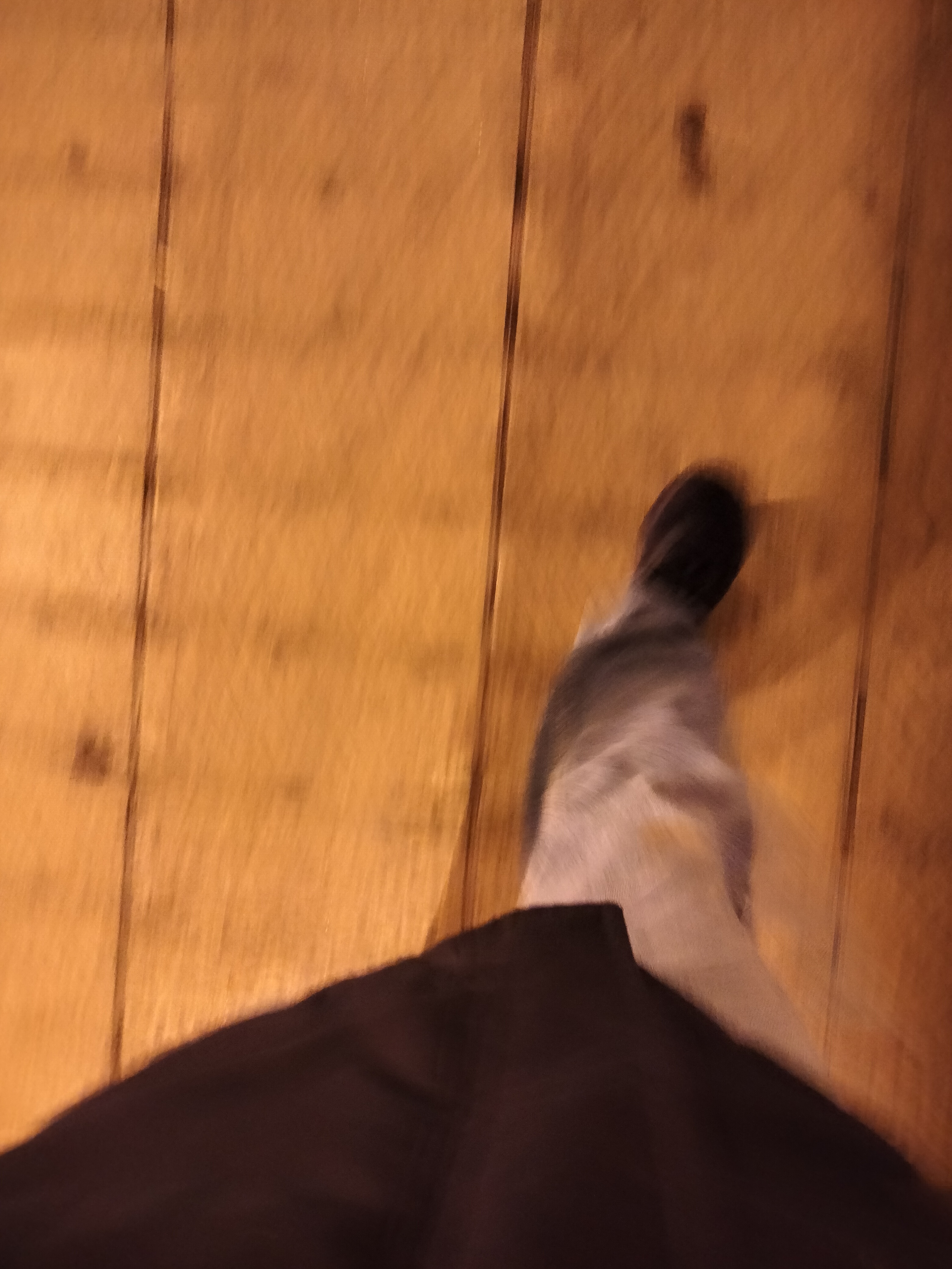 IMG20230108175208.jpg