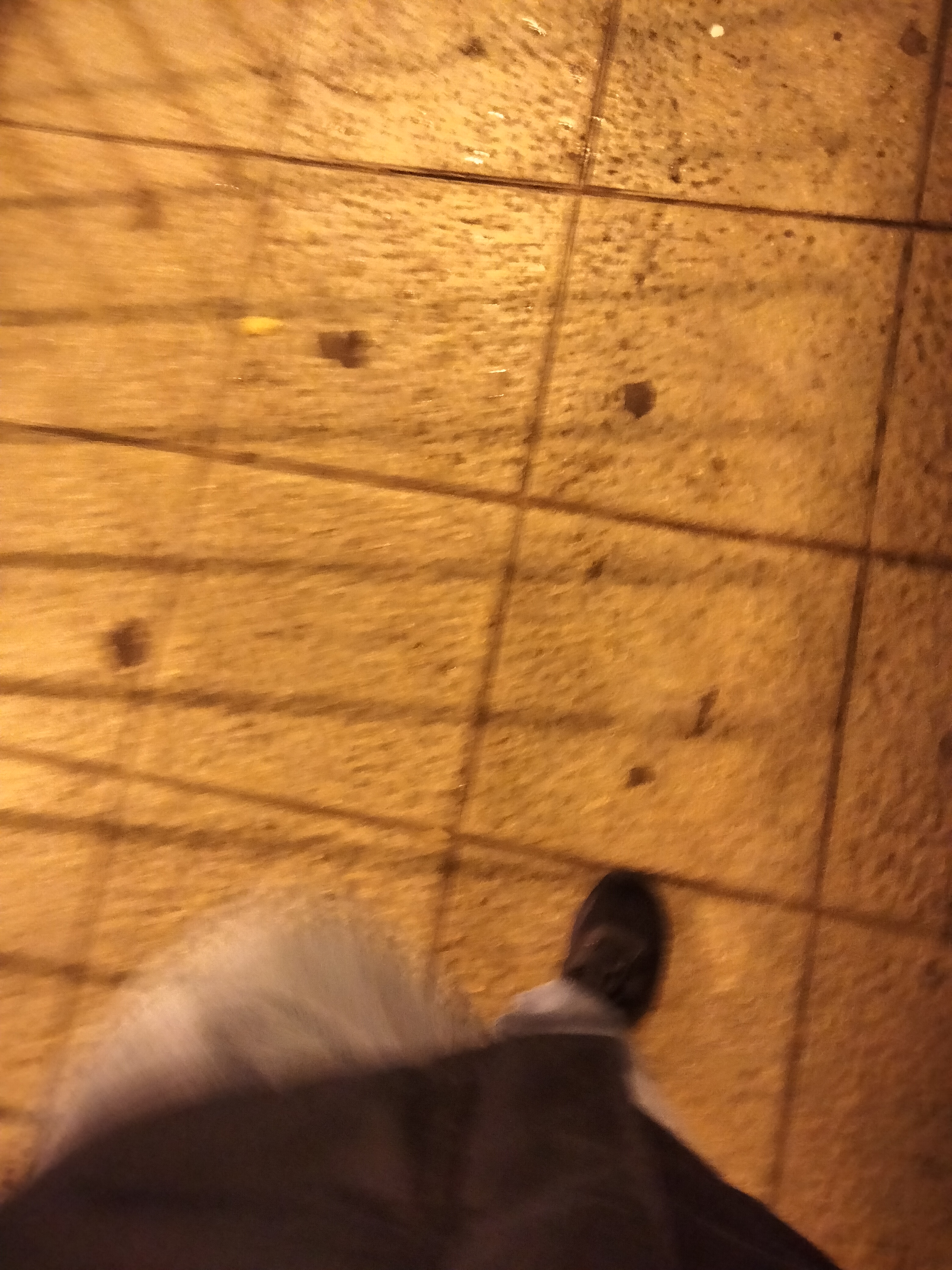 IMG20230108175209.jpg