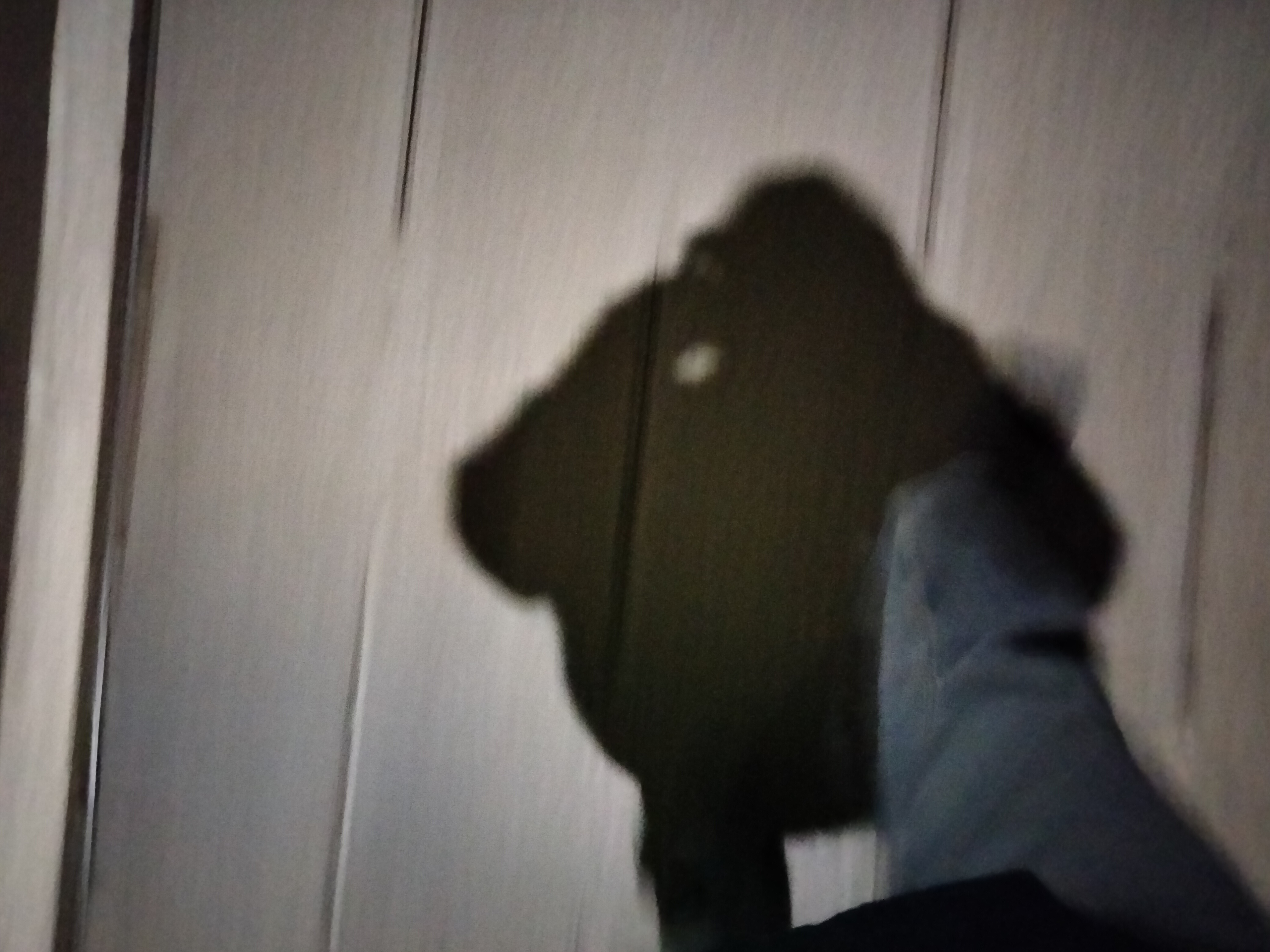 IMG20230113212018.jpg