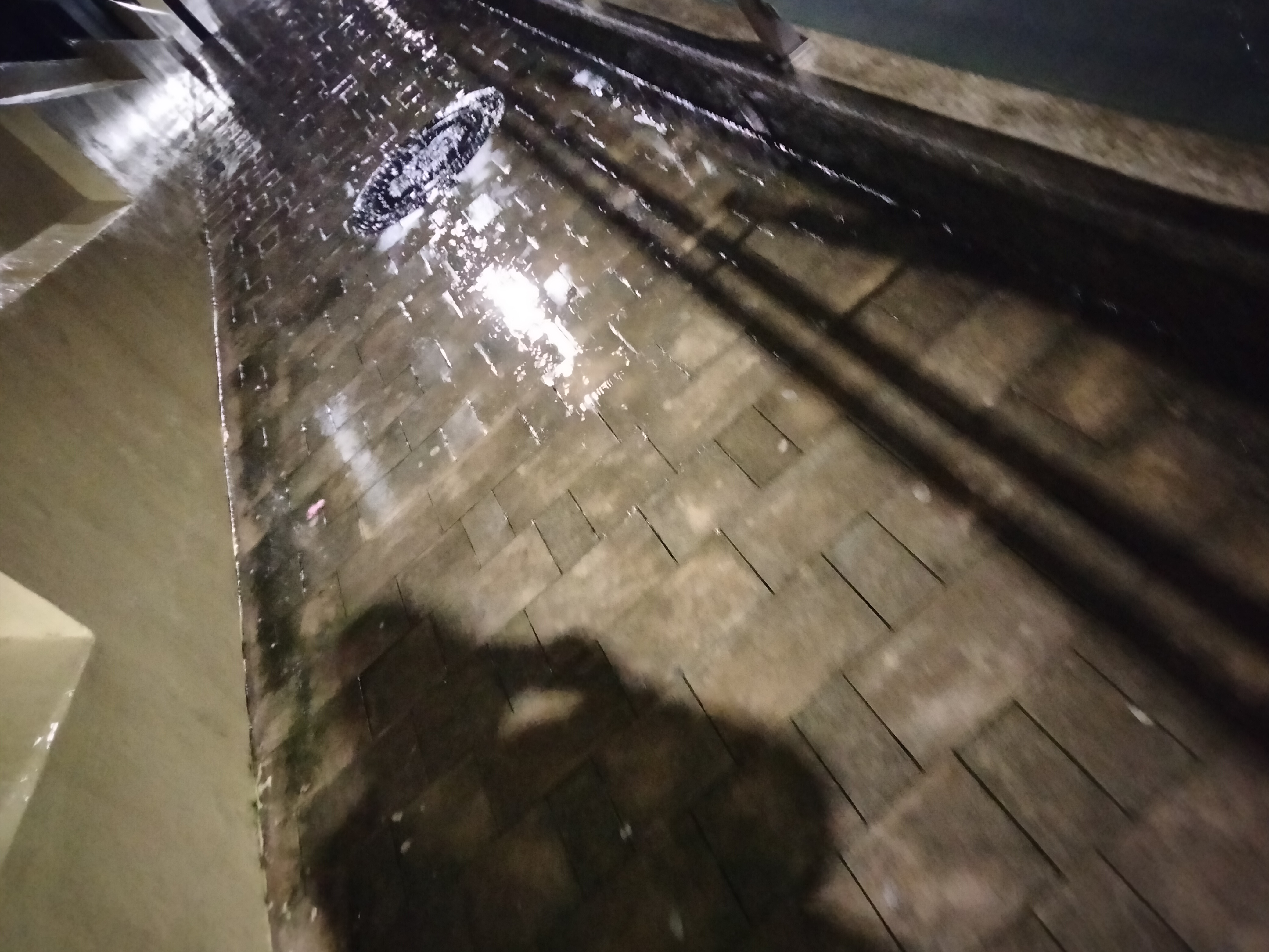 IMG20230116201357.jpg