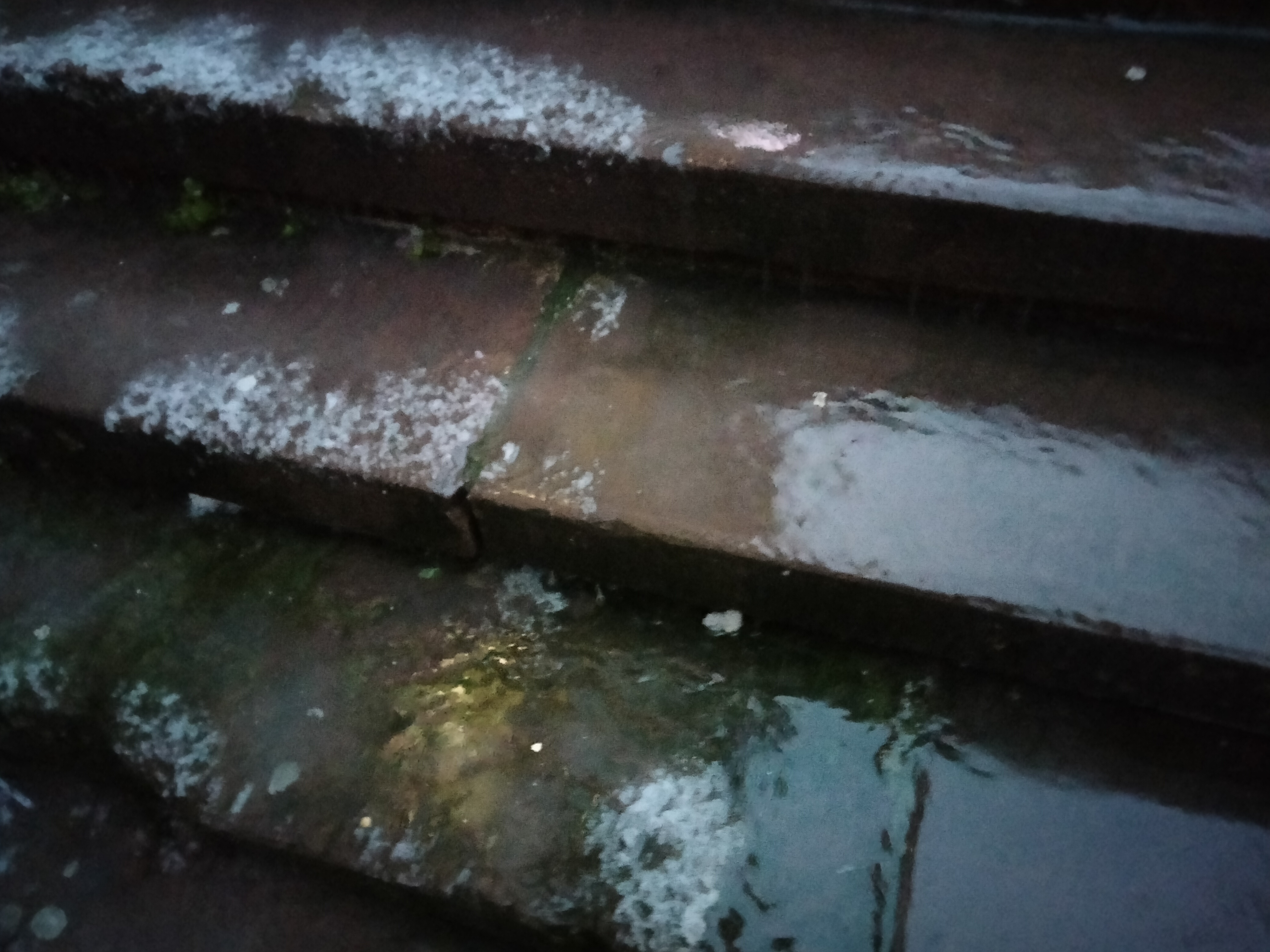 IMG20230117174309.jpg