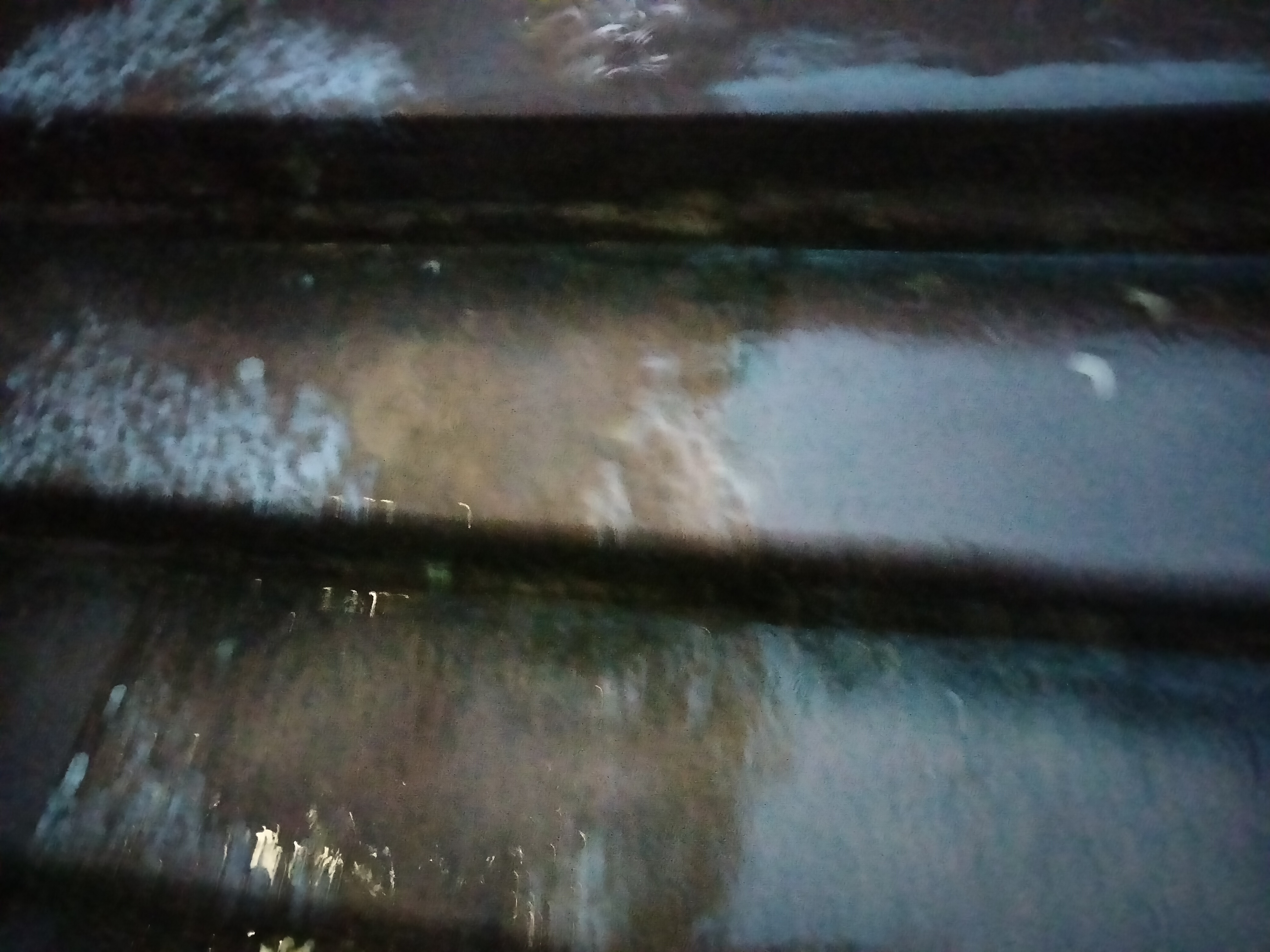 IMG20230117174316.jpg