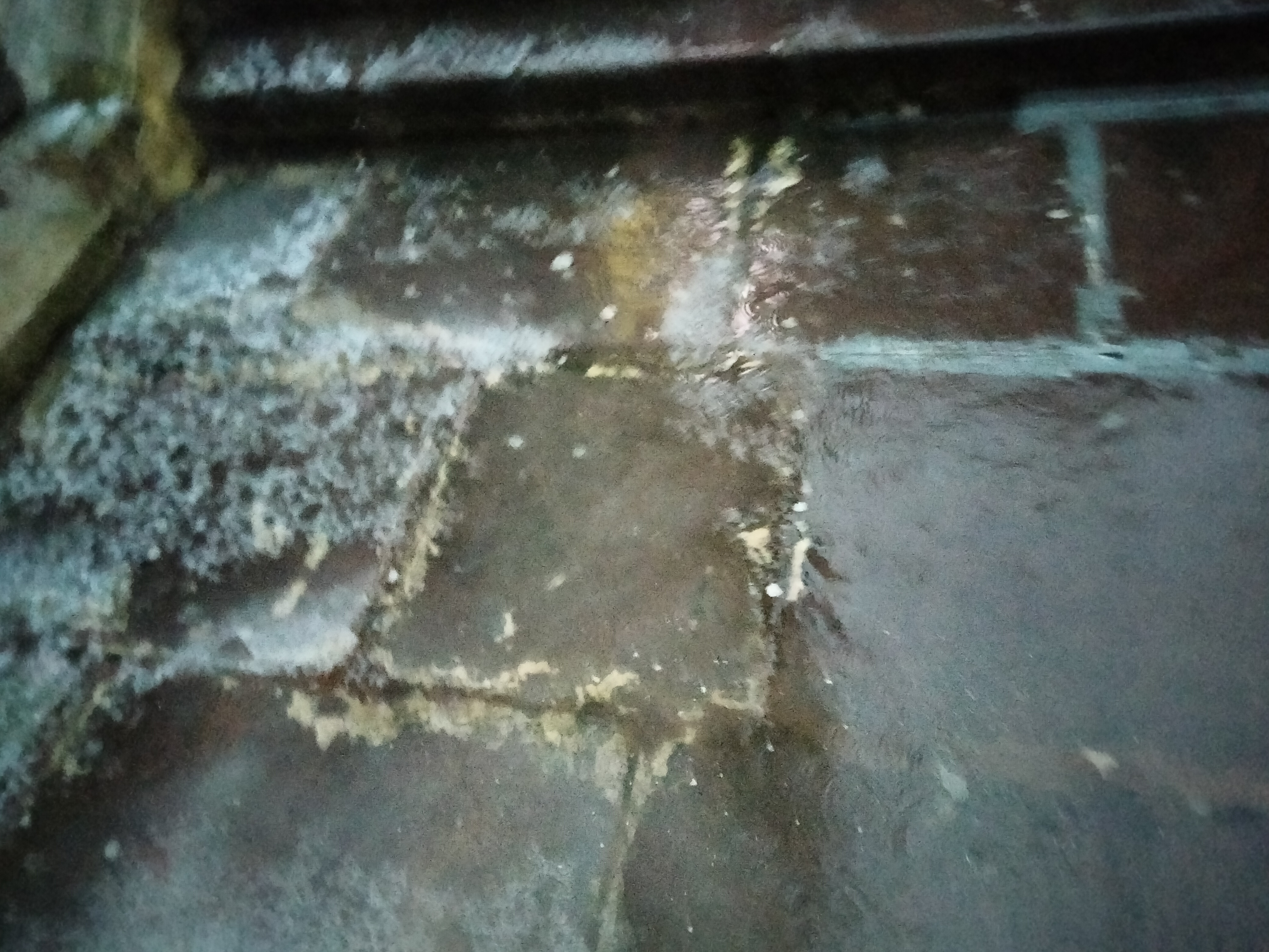 IMG20230117174319.jpg