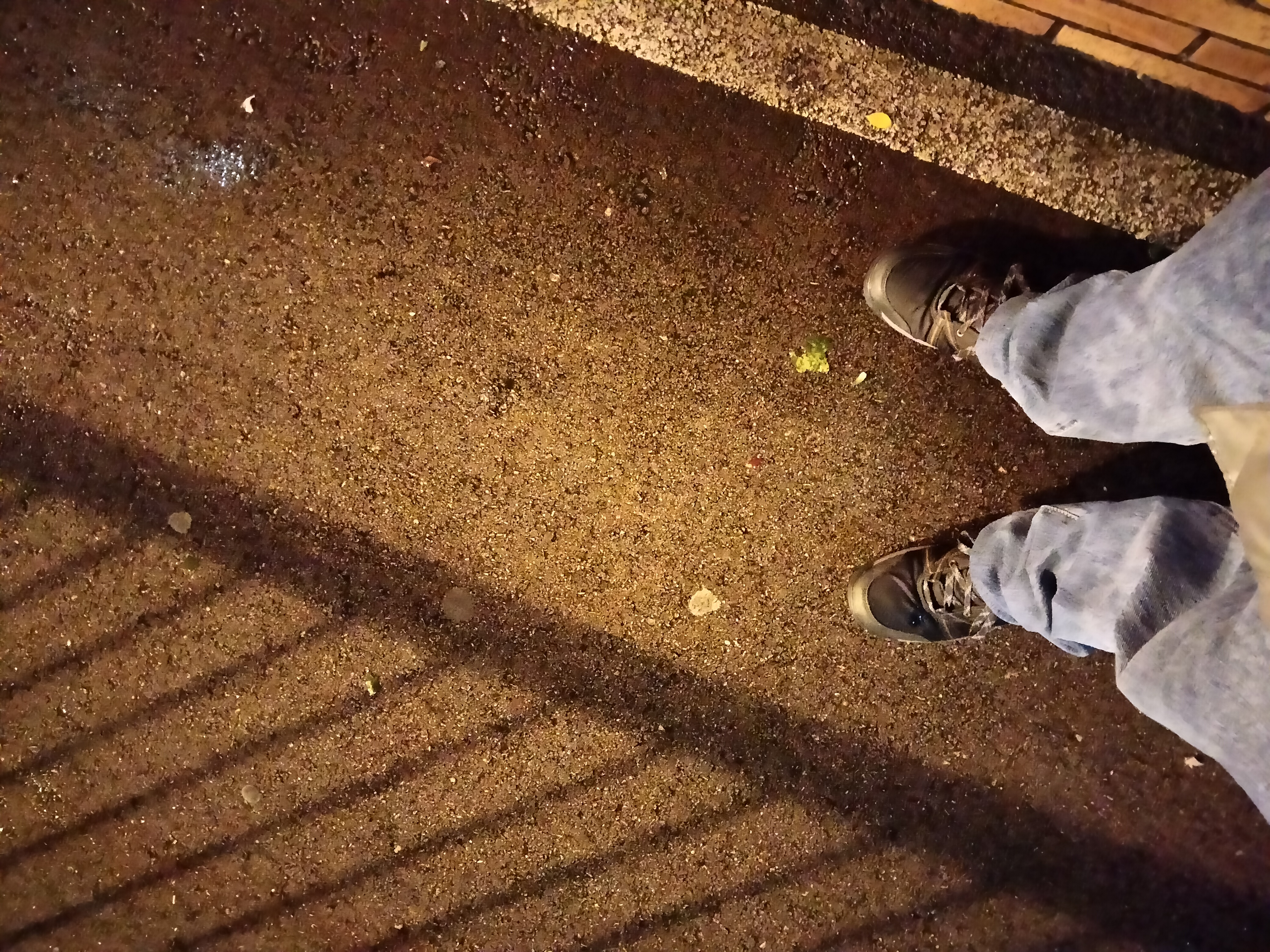 IMG20230119184818.jpg