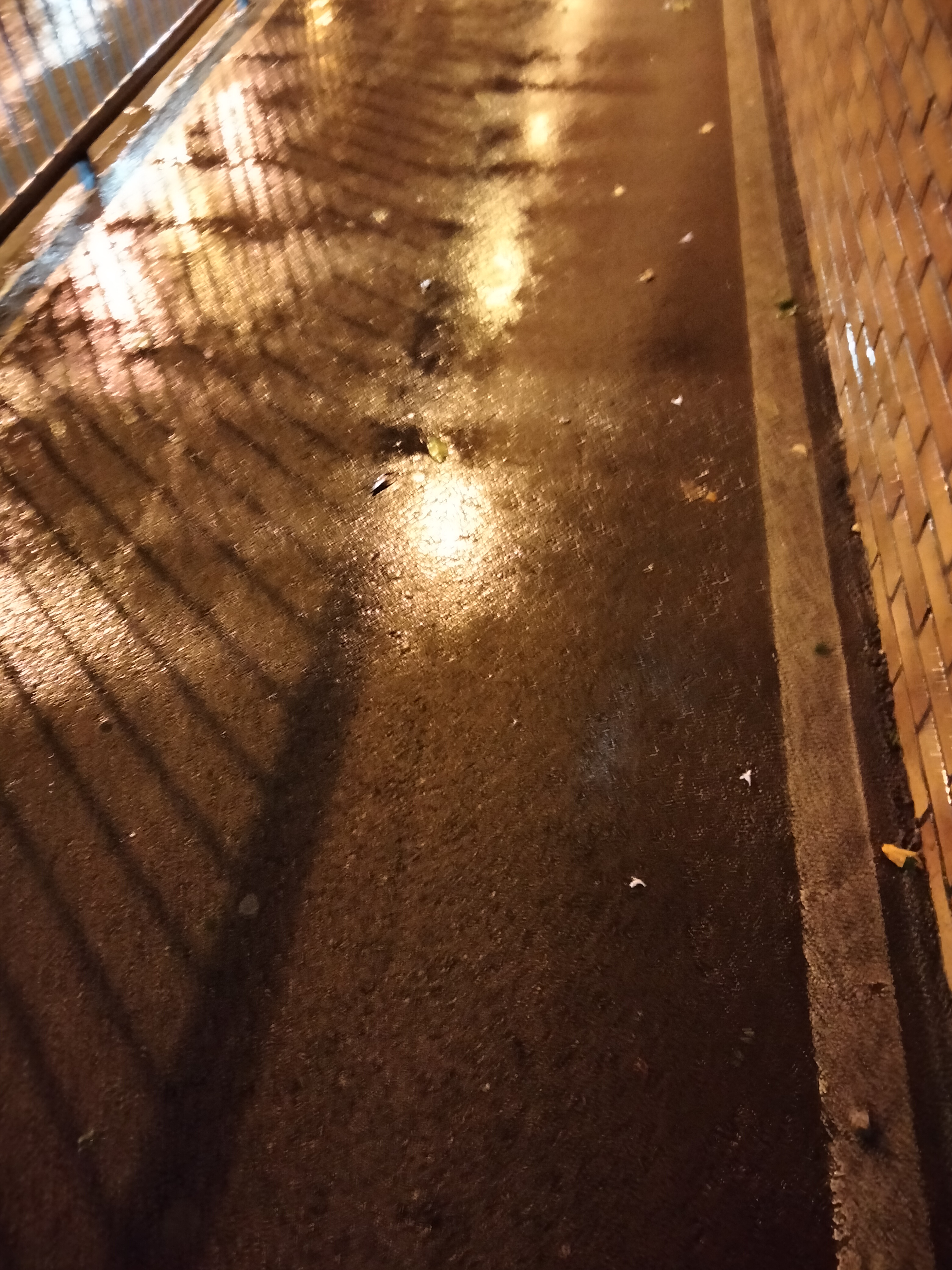 IMG20230119184824.jpg