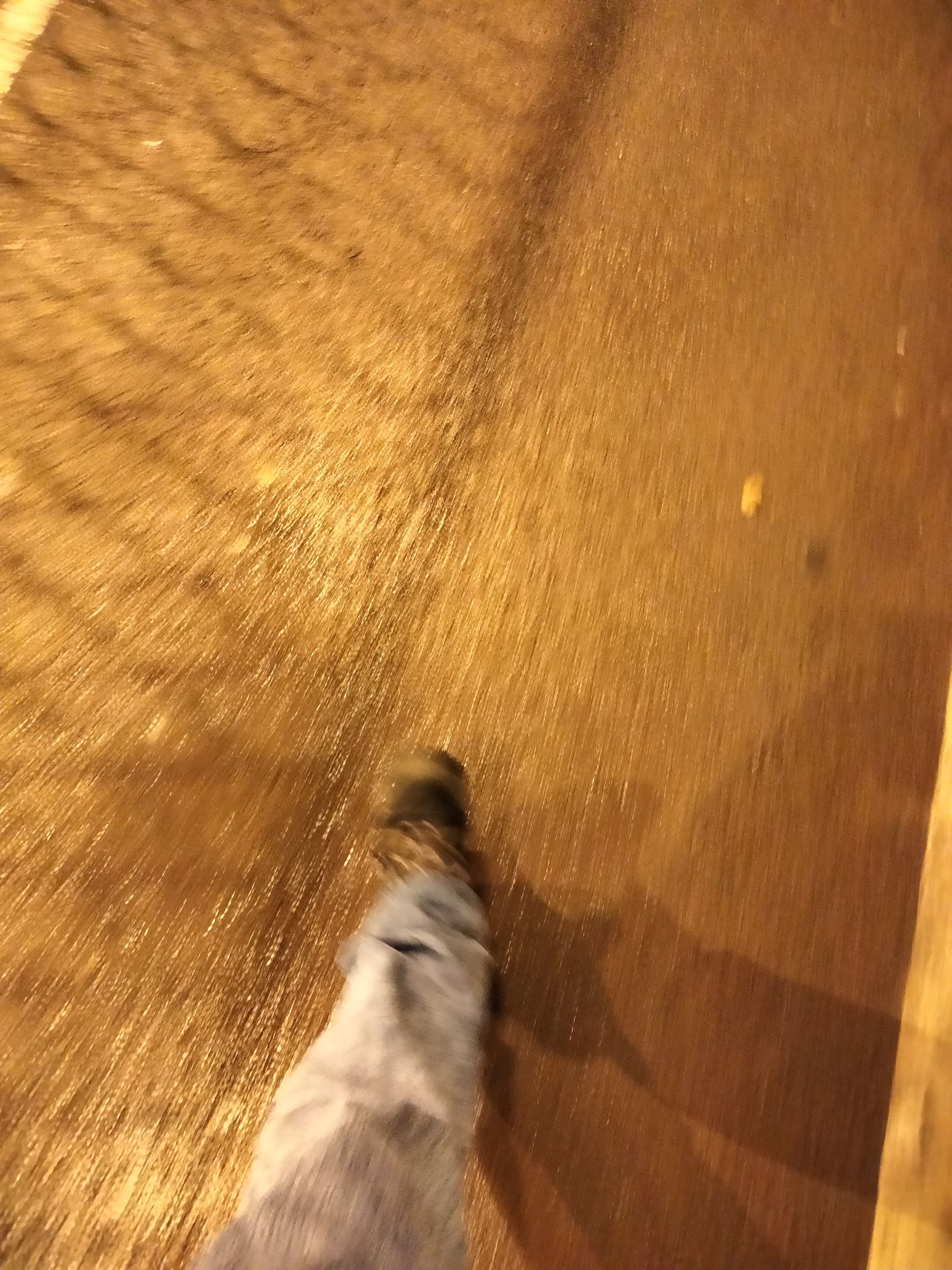 IMG20230119184834.jpg