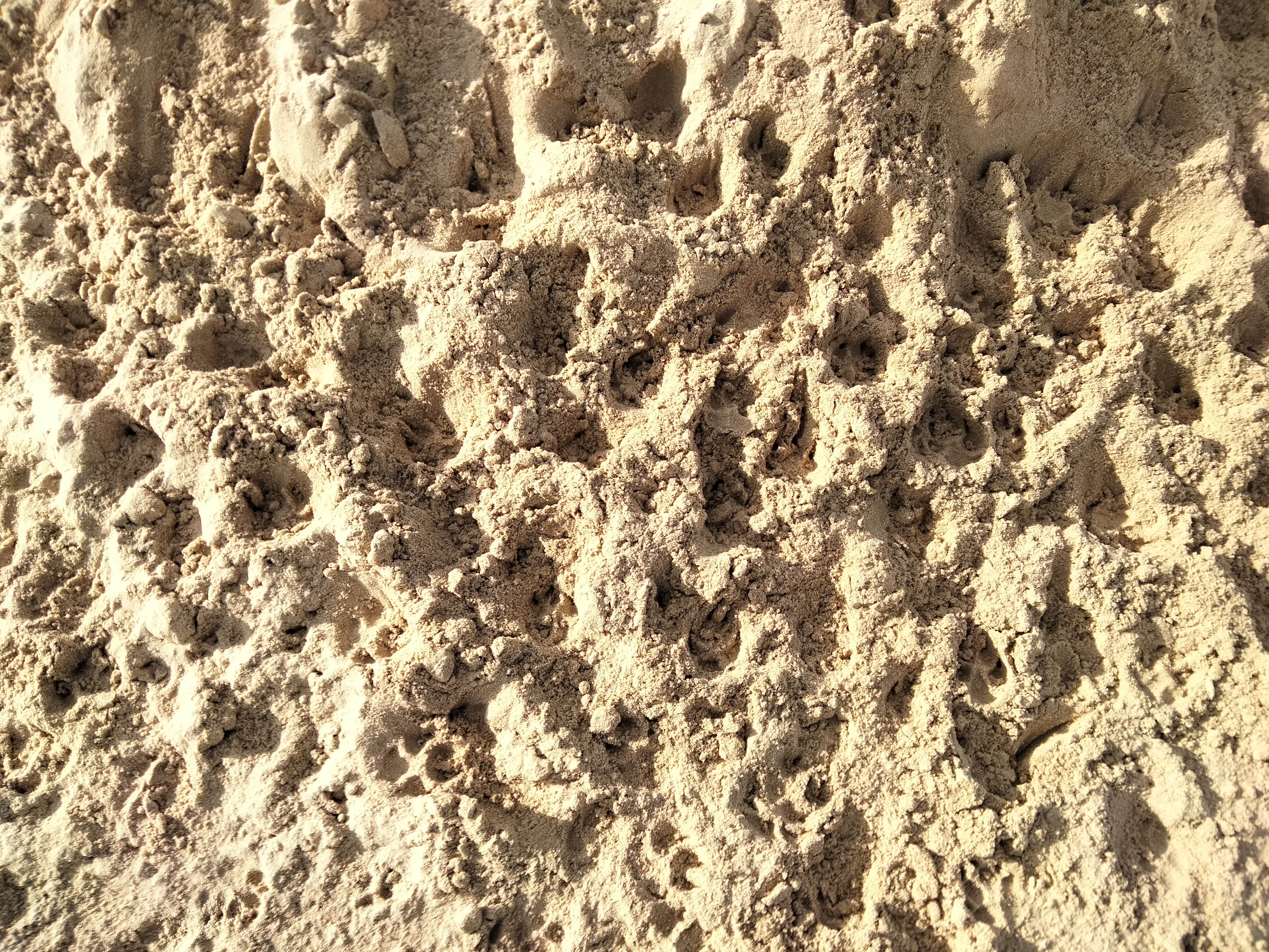 IMG20230122125250.jpg