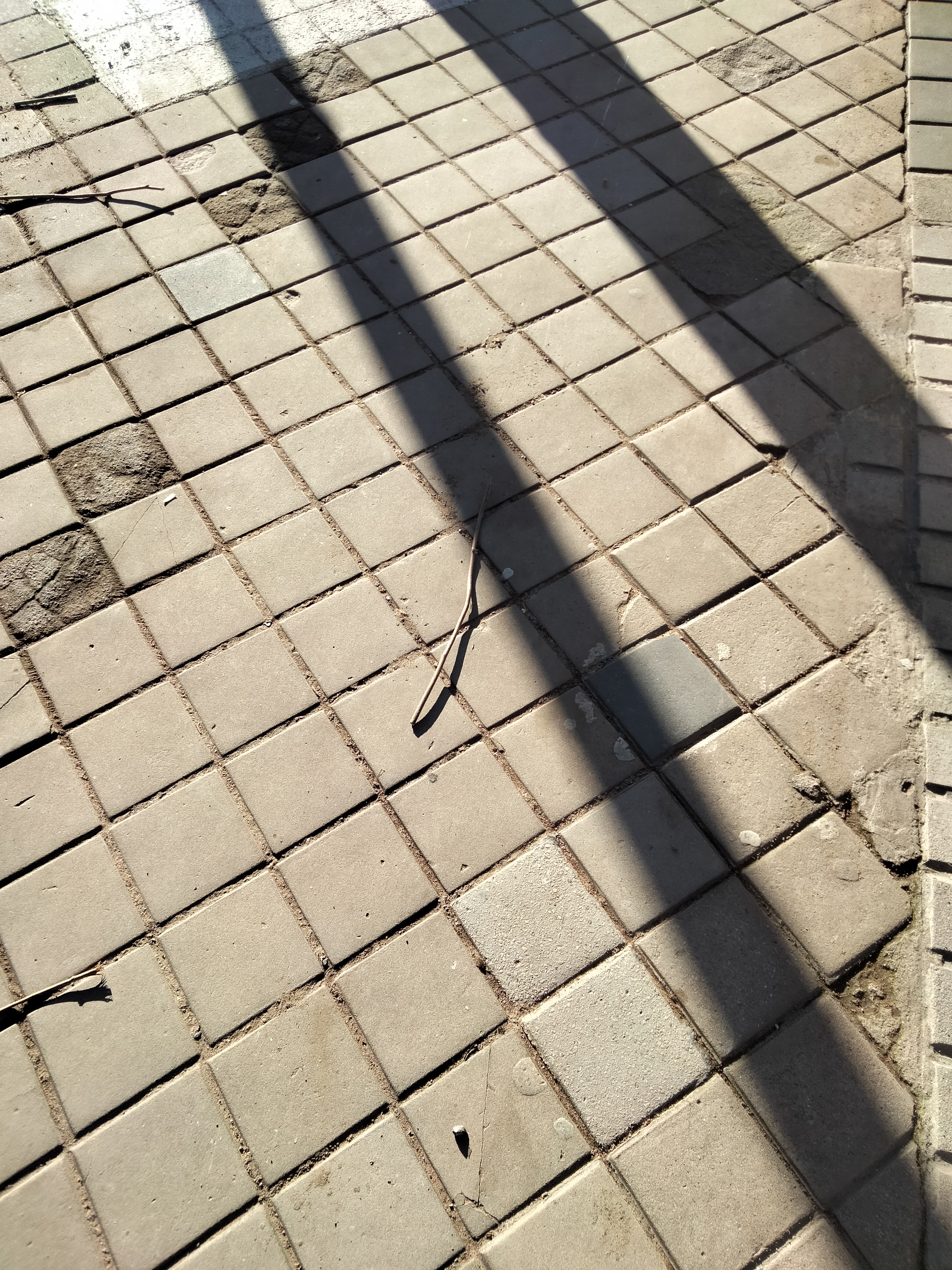 IMG20230122154444.jpg