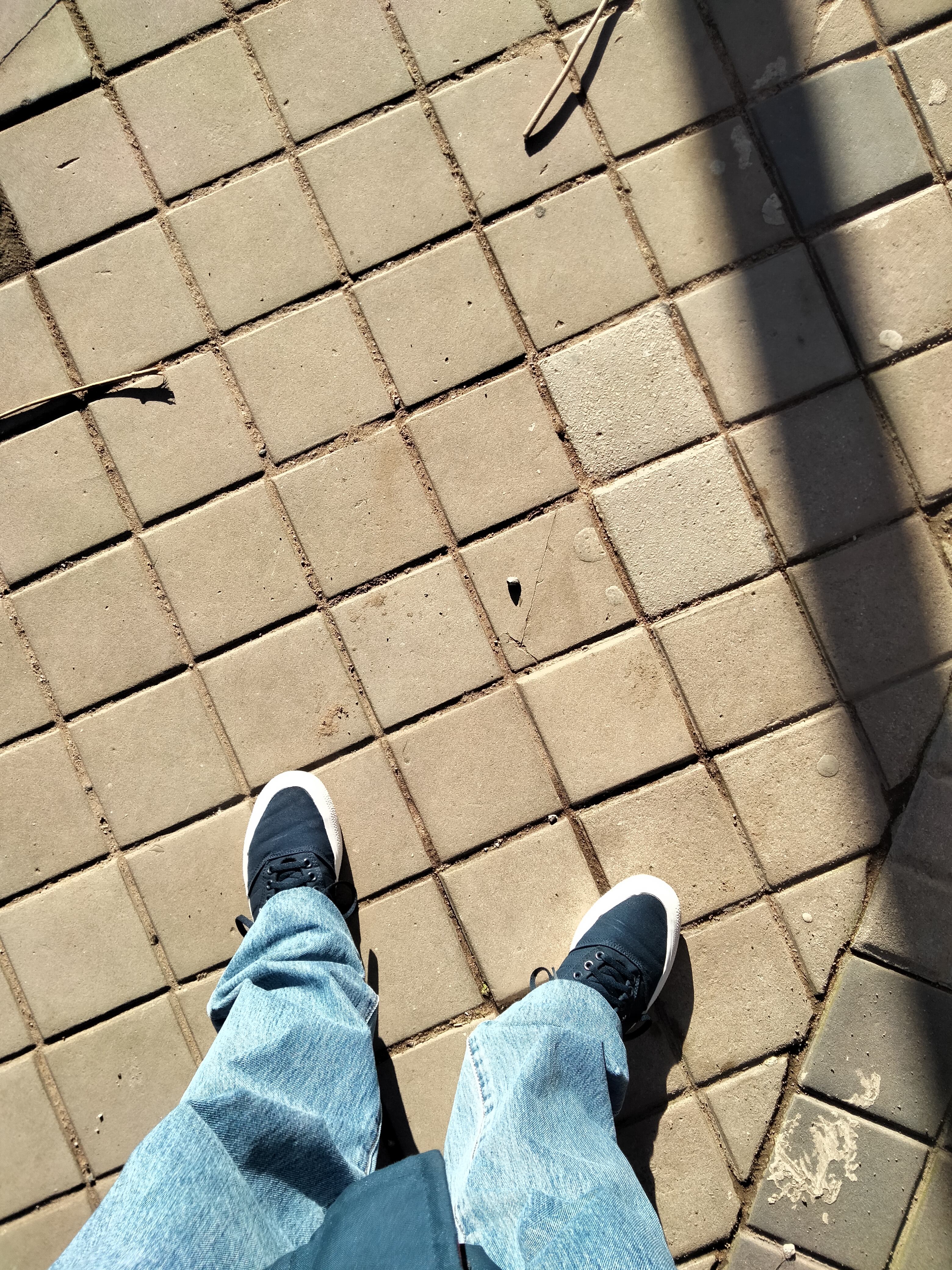 IMG20230122154447.jpg