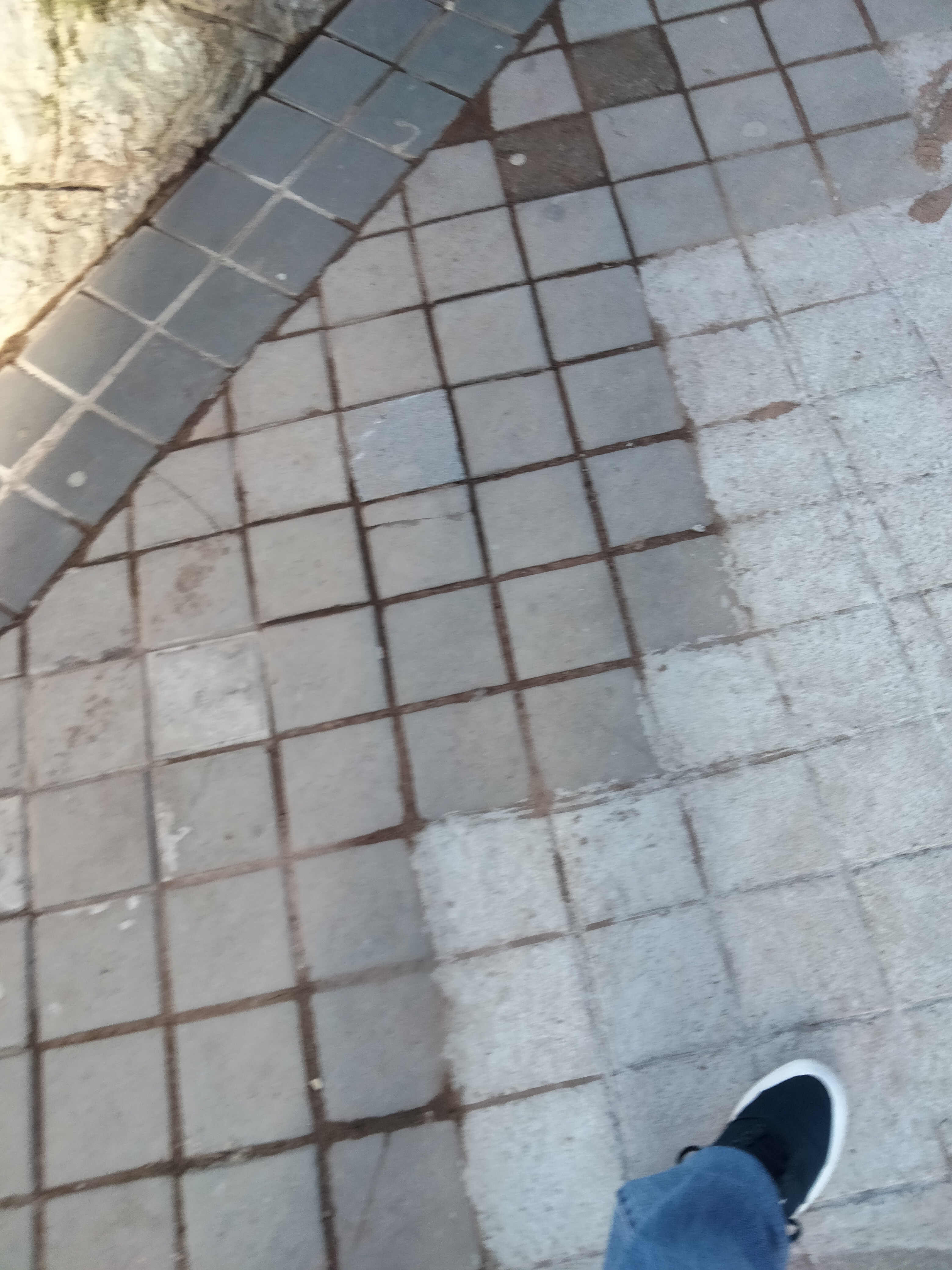 IMG20230122154522.jpg