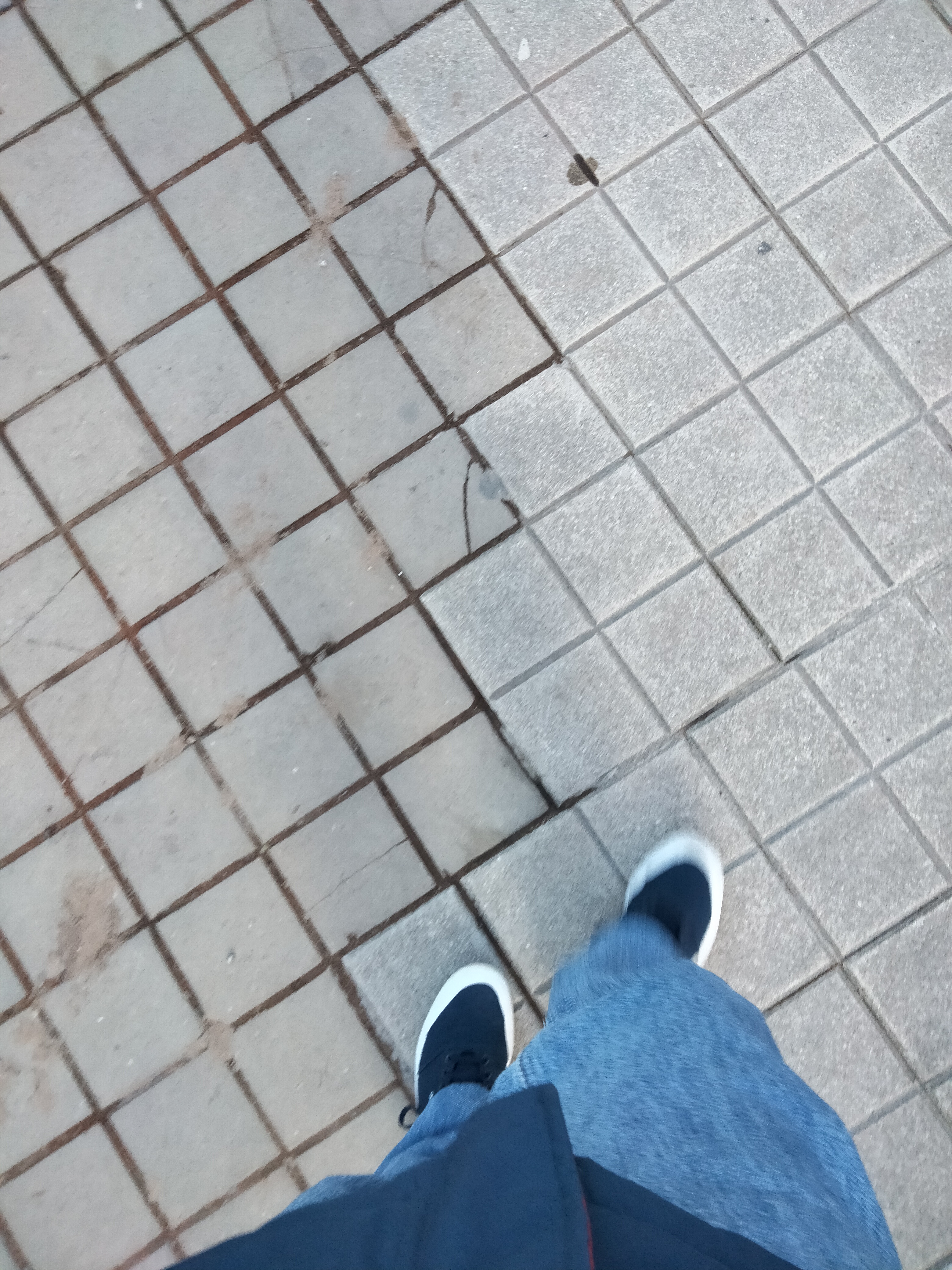 IMG20230122154528.jpg
