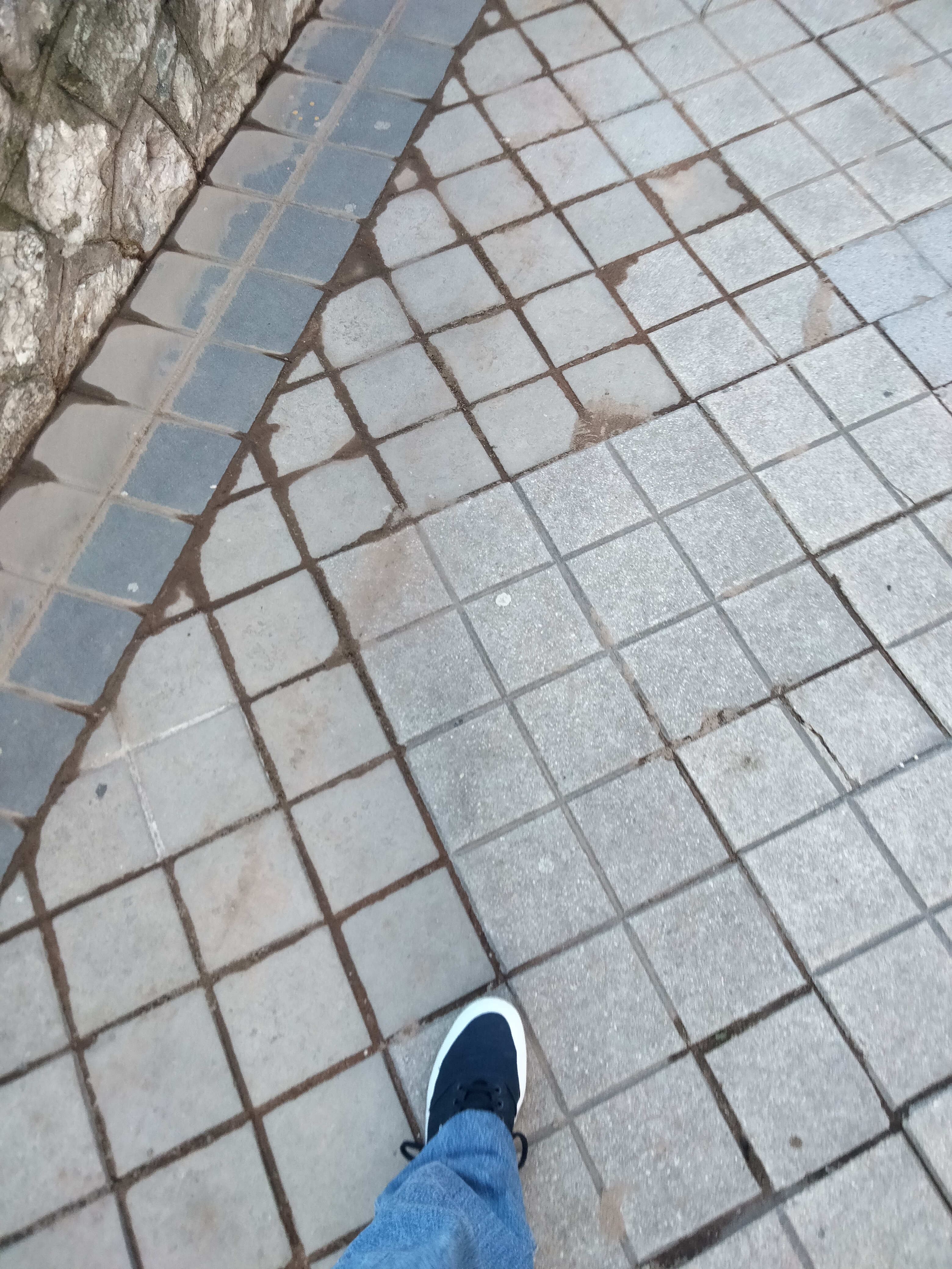 IMG20230122154532.jpg