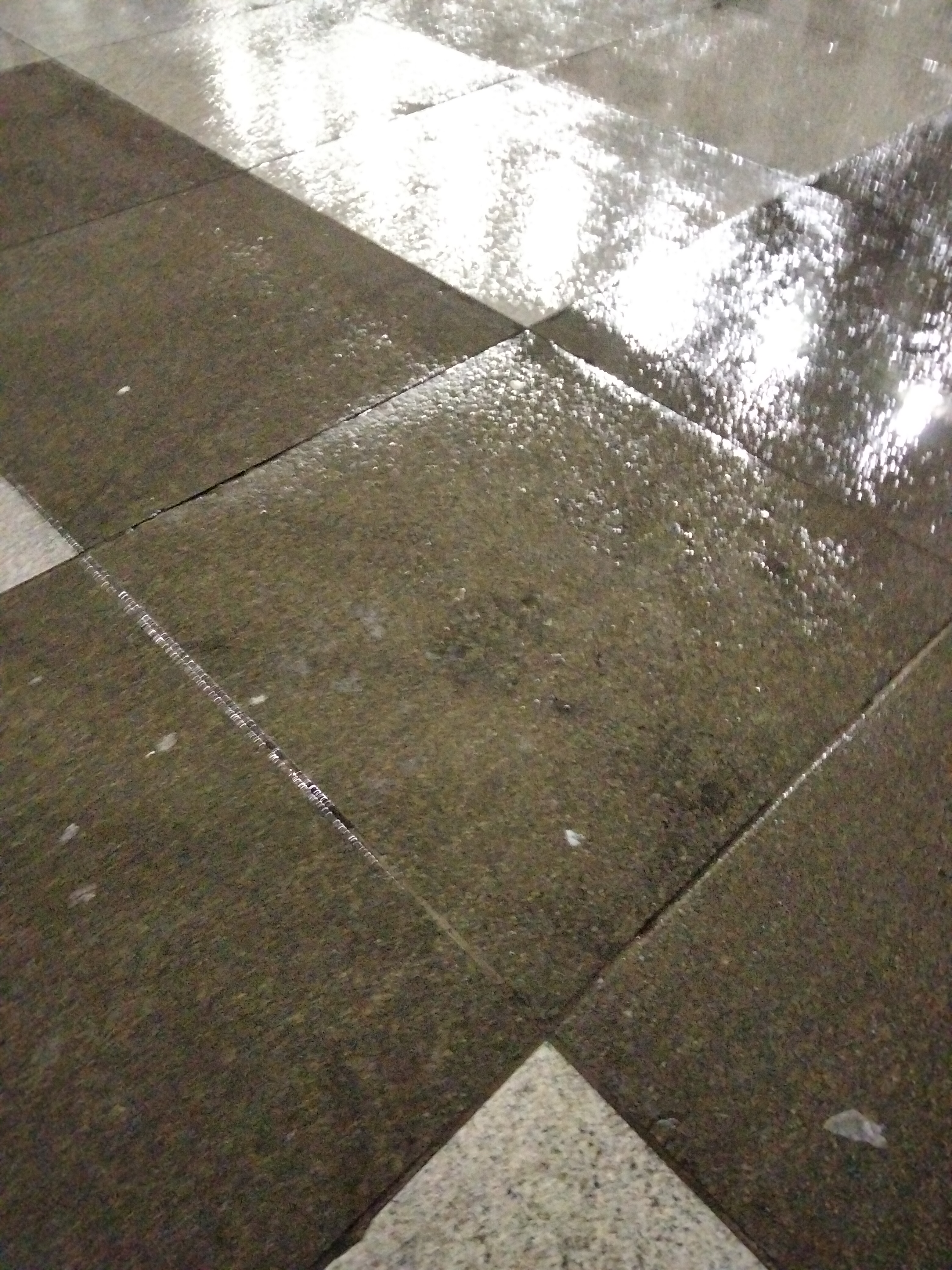 IMG20230125204421.jpg