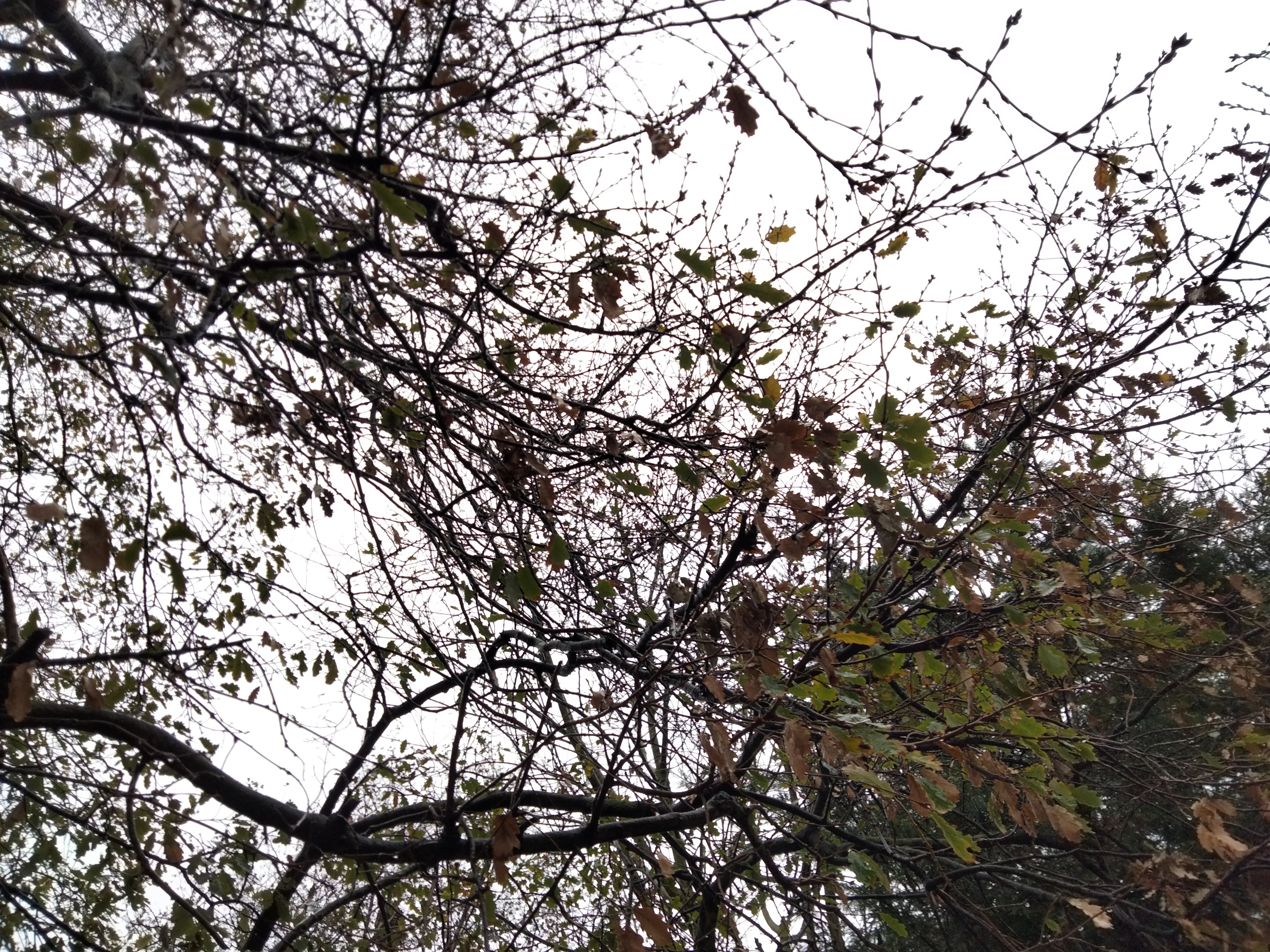 IMG20230126134224.jpg