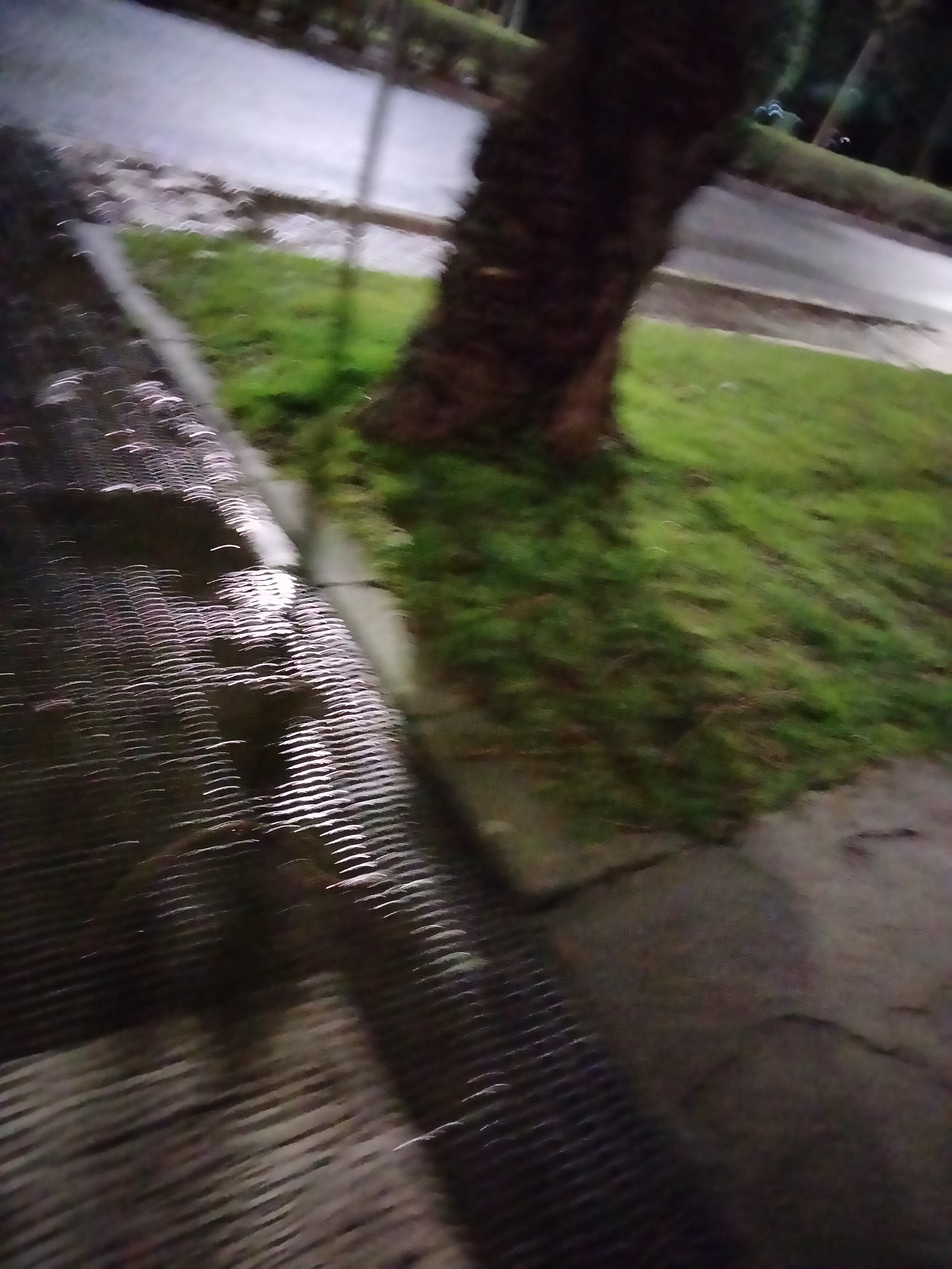 IMG20230127232239.jpg