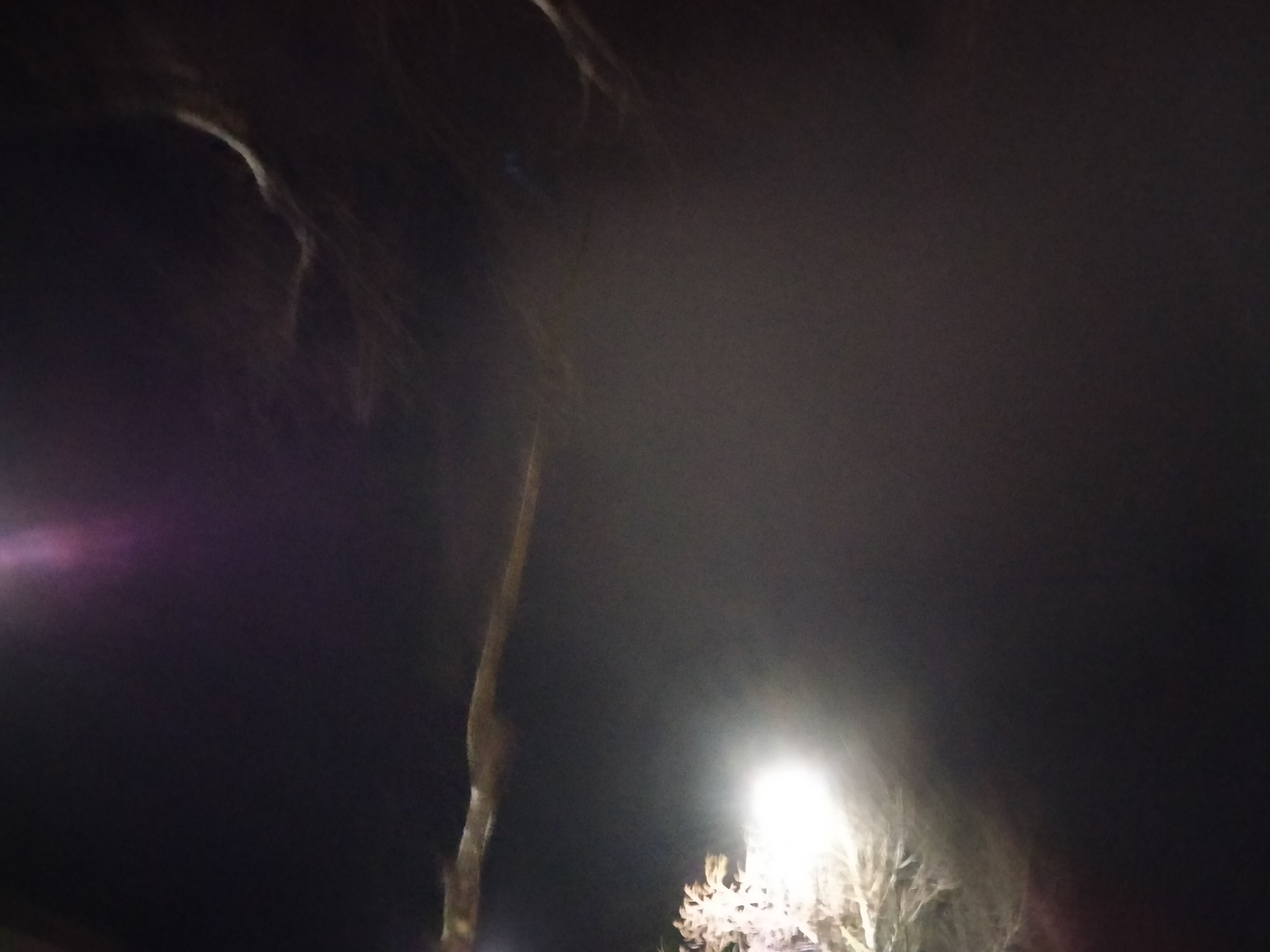 IMG20230127232243.jpg