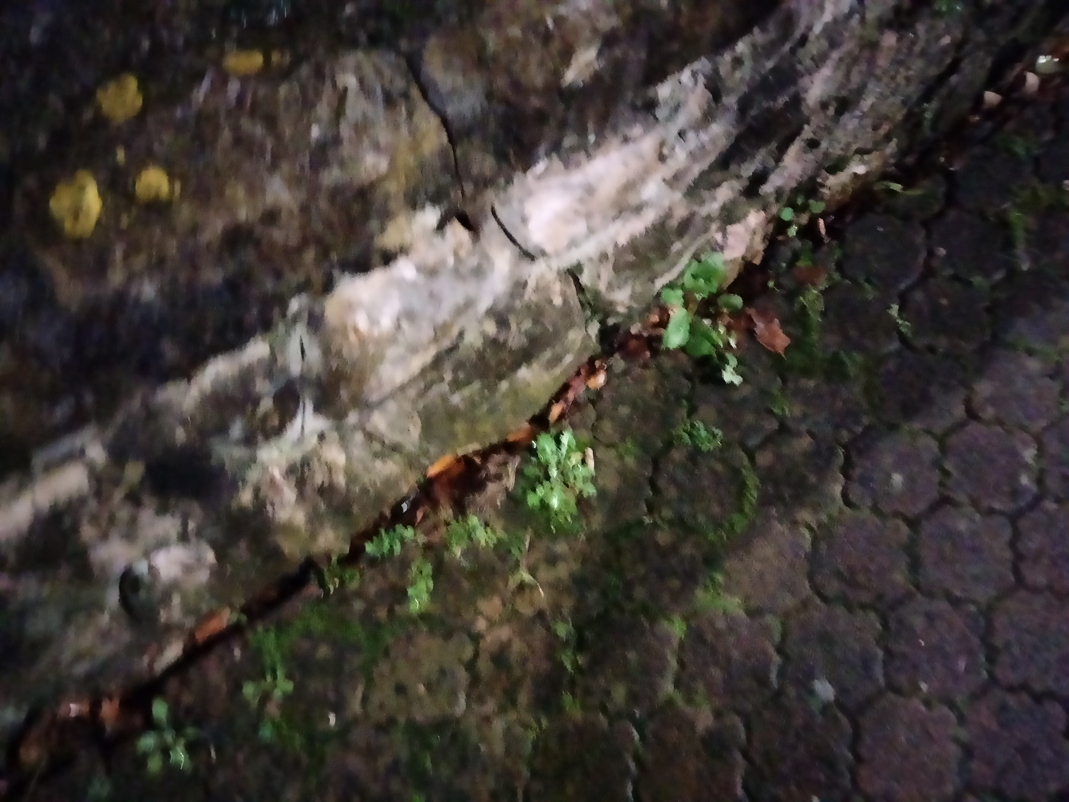IMG20230128210917.jpg