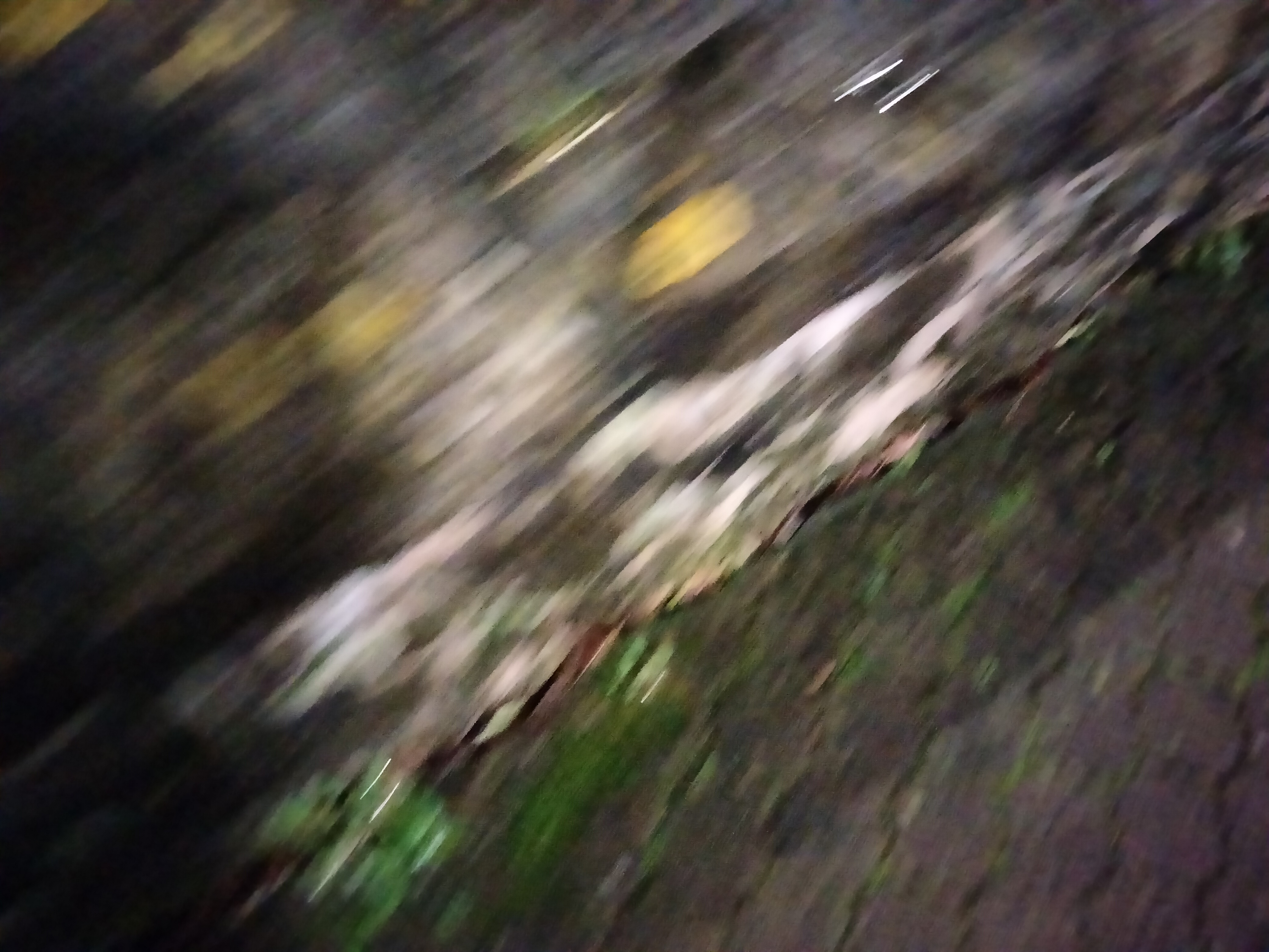 IMG20230128210923.jpg