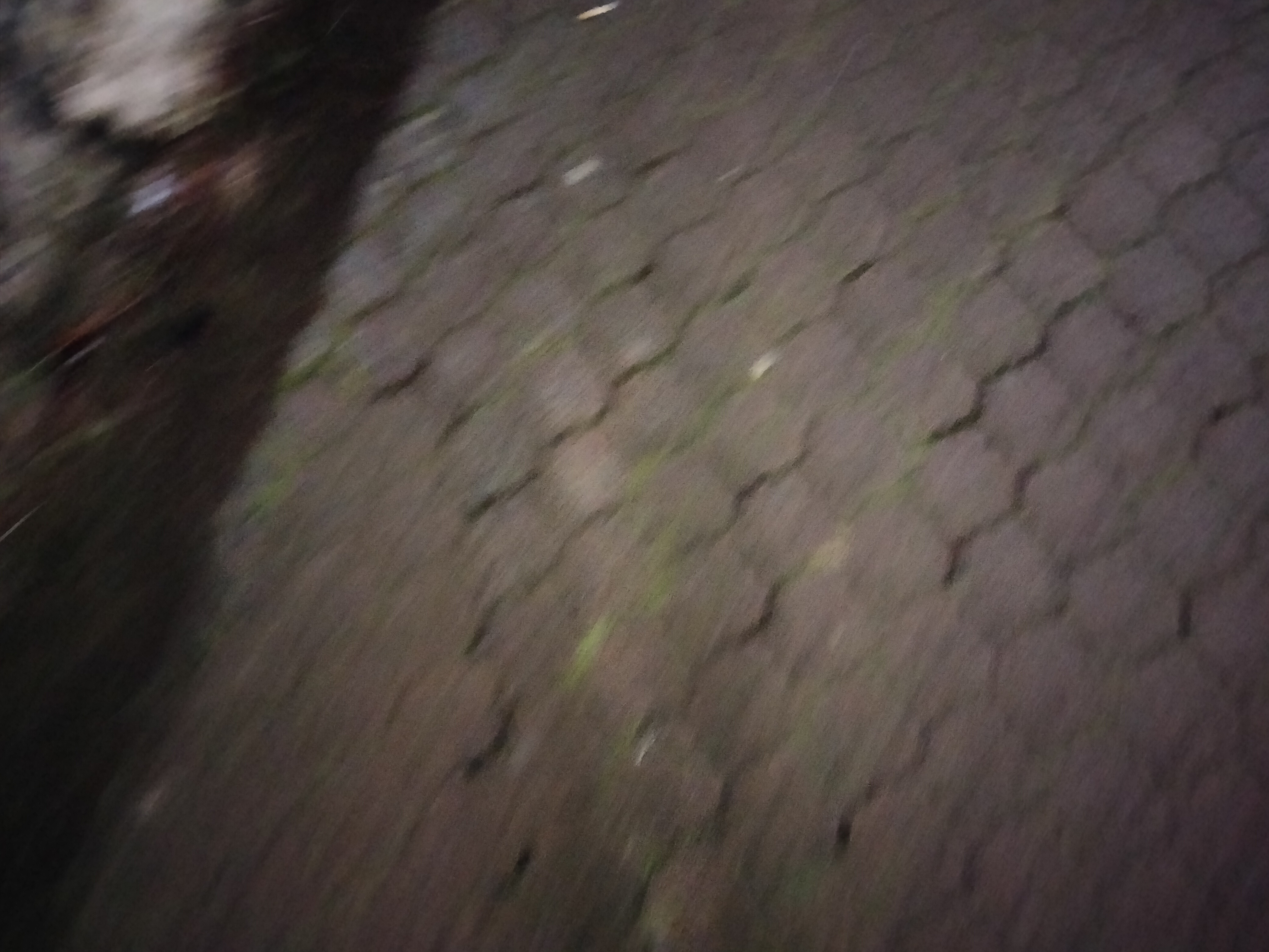 IMG20230128210931.jpg