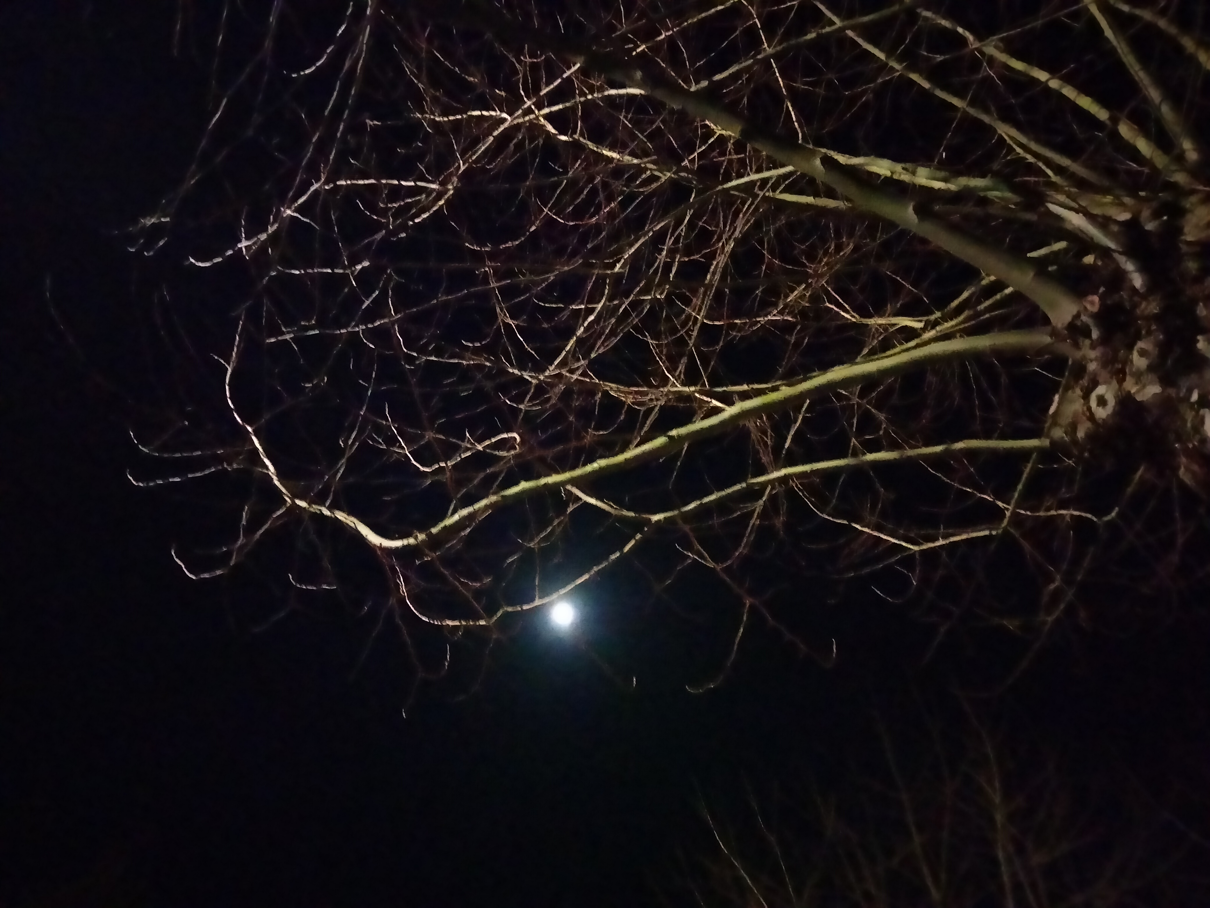 IMG20230203195824.jpg