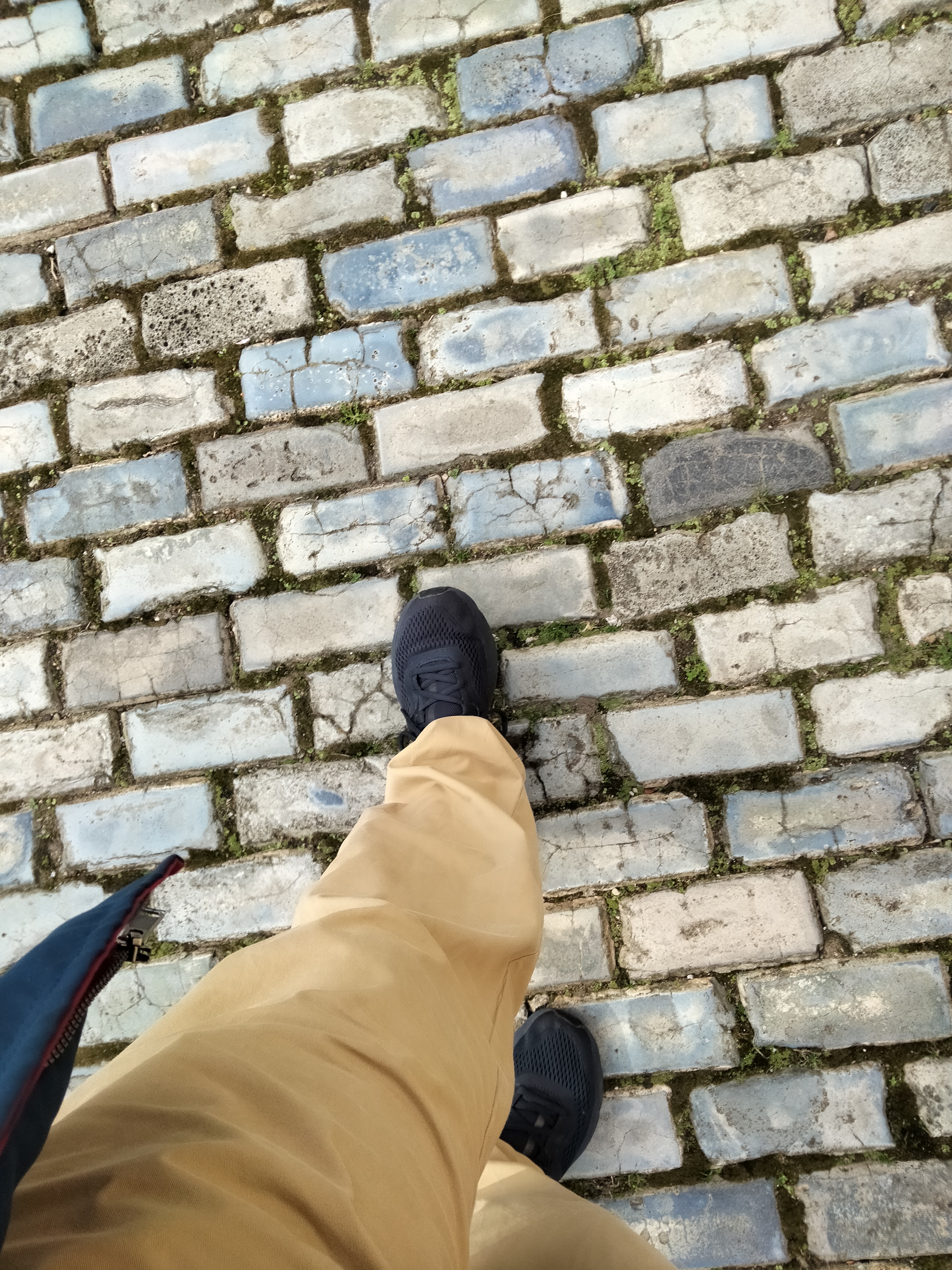 IMG20230221131051.jpg