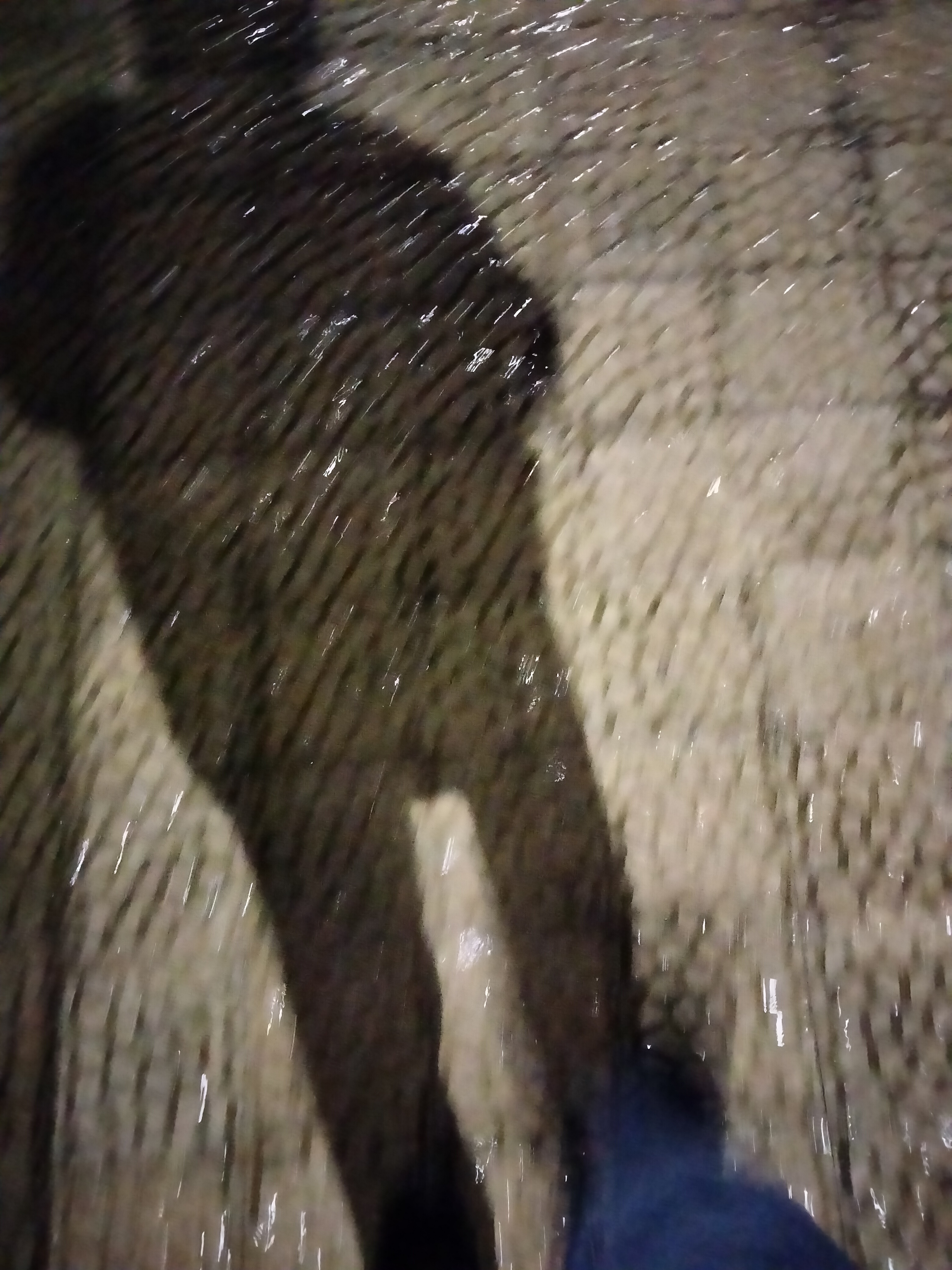 IMG20230303195753.jpg