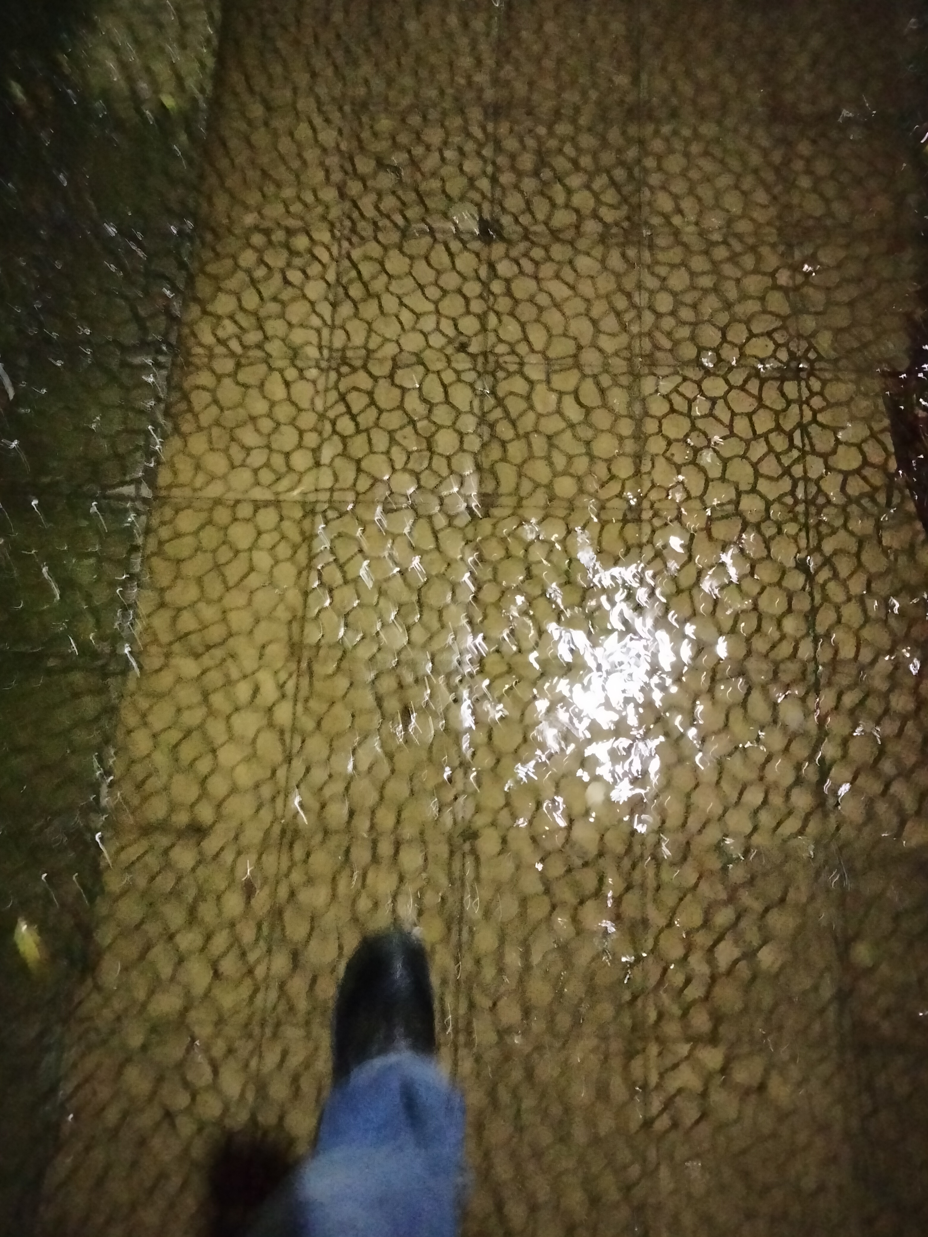 IMG20230303195817.jpg