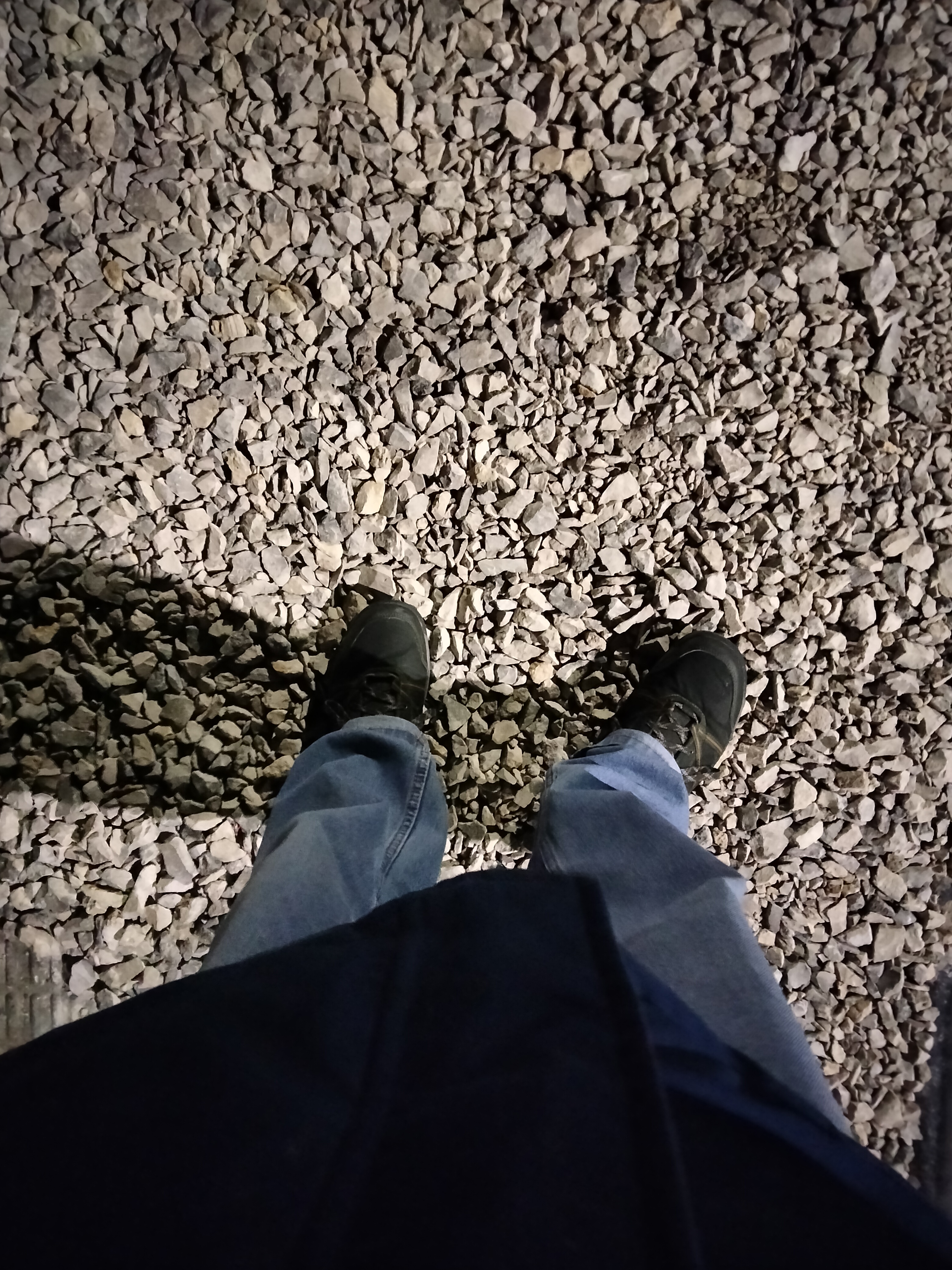 IMG20230306212239.jpg