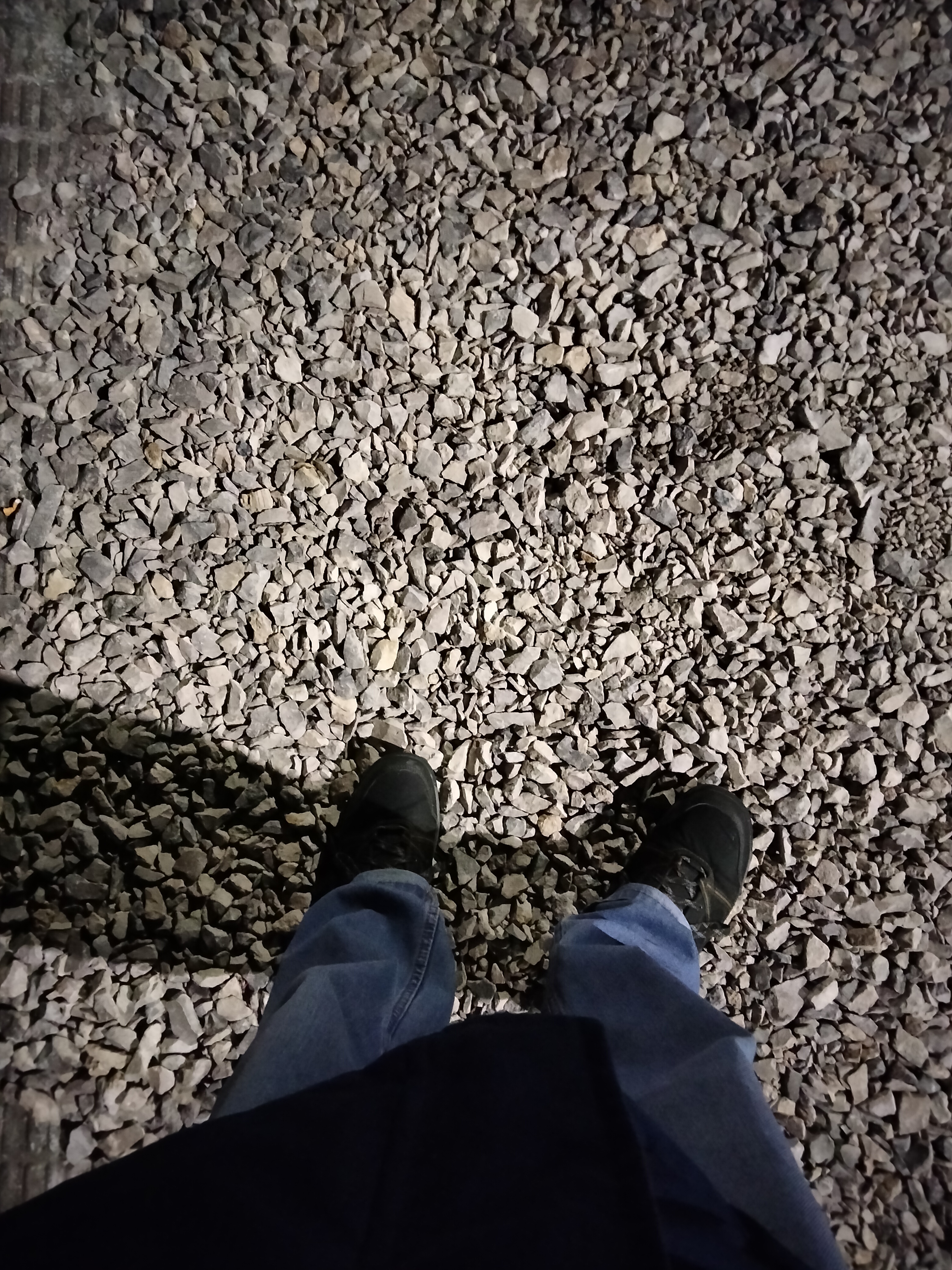 IMG20230306212242.jpg