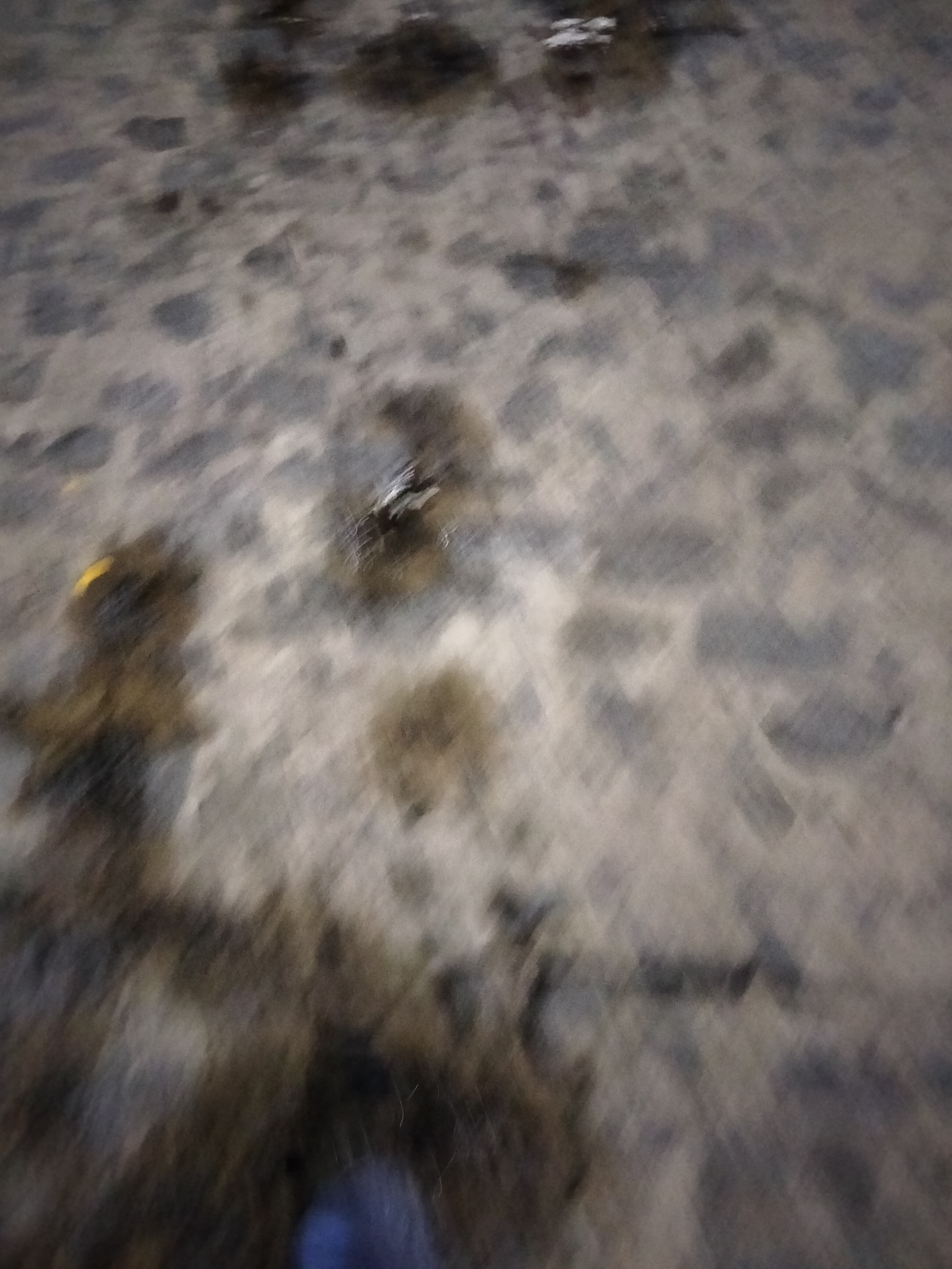 IMG20230313194822.jpg